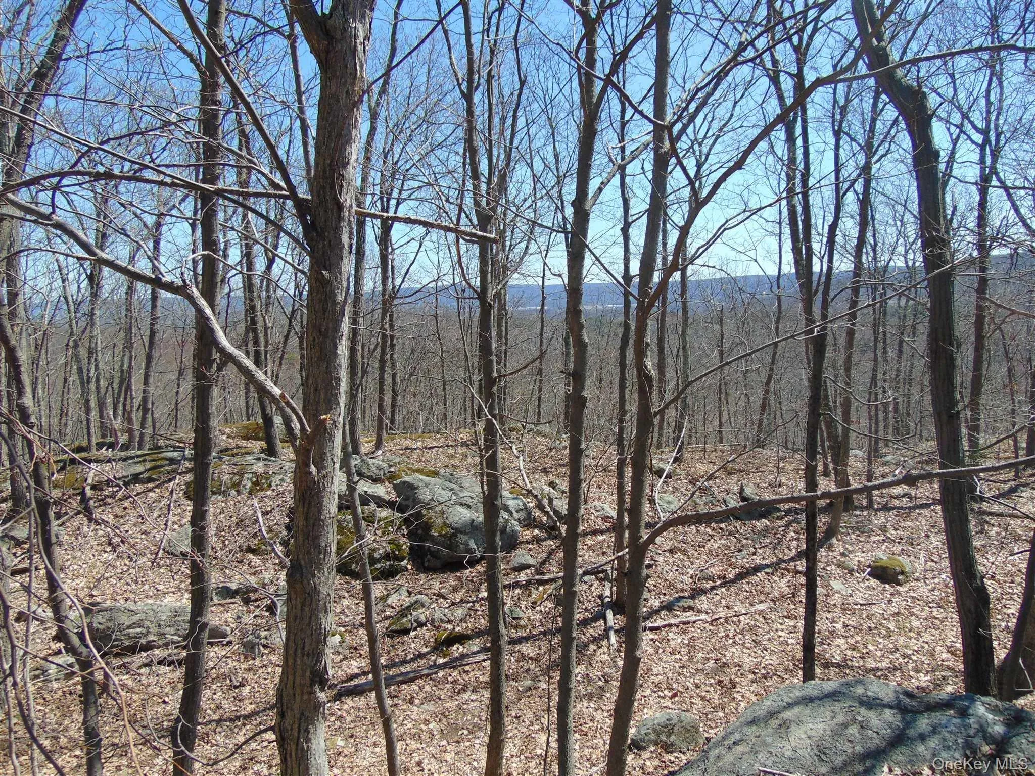 382 CEDAR HILL Road, Wappinger, NY, ,Land,For Rent,CEDAR HILL,0,1003271 382 CEDAR HILL Road, Wappinger, NY, ,Land,For Rent,CEDAR HILL,0,1003271