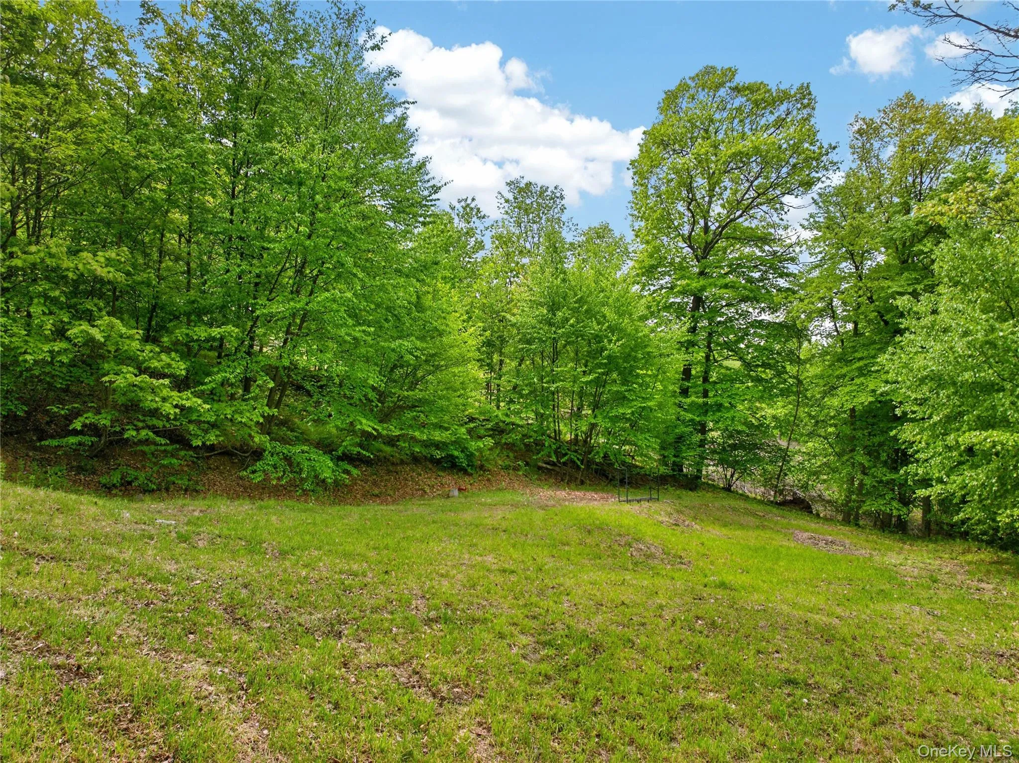 12 Parks Wood Drive, Cornwall, NY, 5 Bedrooms Bedrooms, 12 Rooms Rooms,3 BathroomsBathrooms,Residential,For Rent,Parks Wood,0,1003280 12 Parks Wood Drive, Cornwall, NY, 5 Bedrooms Bedrooms, 12 Rooms Rooms,3 BathroomsBathrooms,Residential,For Rent,Parks Wood,0,1003280
