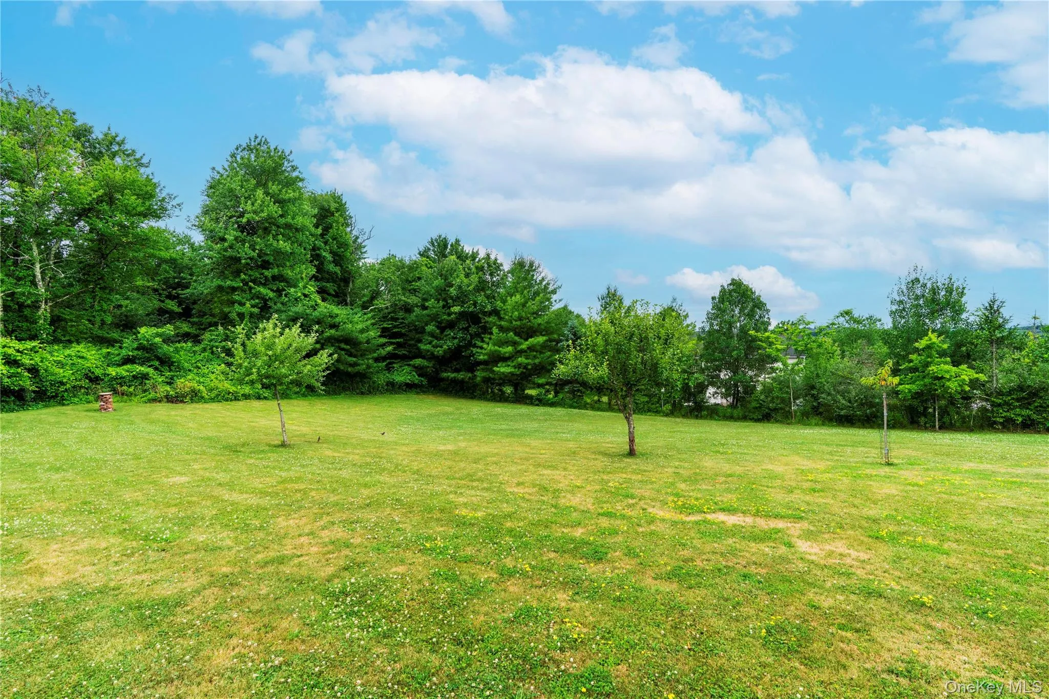 46 Wildflower Ridge, La Grange, NY, 4 Bedrooms Bedrooms, 8 Rooms Rooms,2 BathroomsBathrooms,Residential,For Rent,Wildflower,0,1003289 46 Wildflower Ridge, La Grange, NY, 4 Bedrooms Bedrooms, 8 Rooms Rooms,2 BathroomsBathrooms,Residential,For Rent,Wildflower,0,1003289