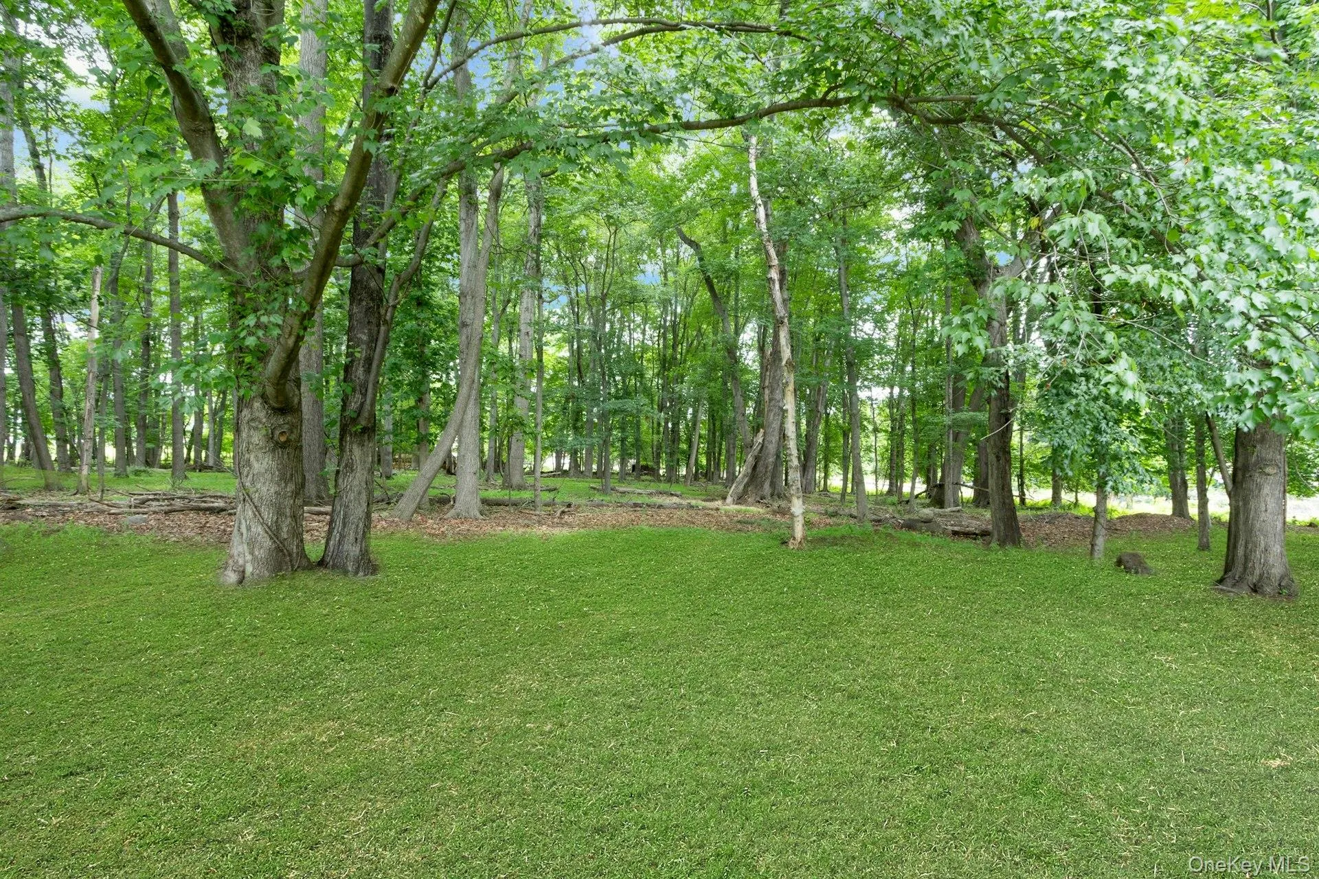 19 Flower Lane, Clarkstown, NY, 4 Bedrooms Bedrooms, 11 Rooms Rooms,3 BathroomsBathrooms,Residential,For Rent,Flower,0,1003291 19 Flower Lane, Clarkstown, NY, 4 Bedrooms Bedrooms, 11 Rooms Rooms,3 BathroomsBathrooms,Residential,For Rent,Flower,0,1003291
