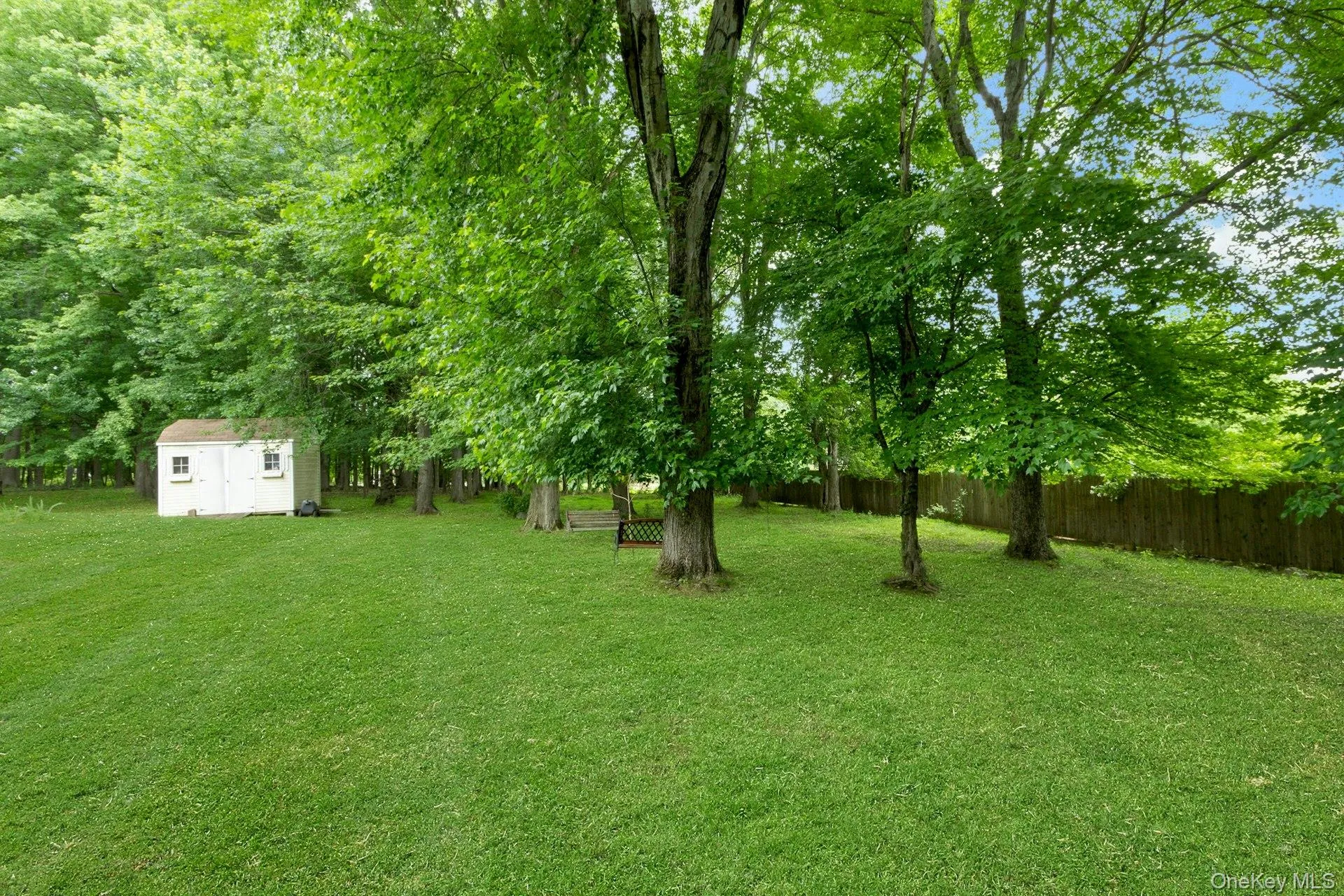 Yard with shed Yard with shed