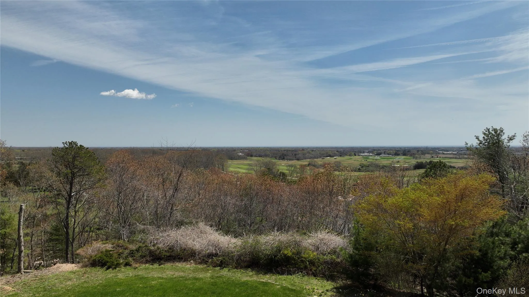 Expansive landscape featuring distant green fields, varied mature trees, and a clear blue sky Expansive landscape featuring distant green fields, varied mature trees, and a clear blue sky