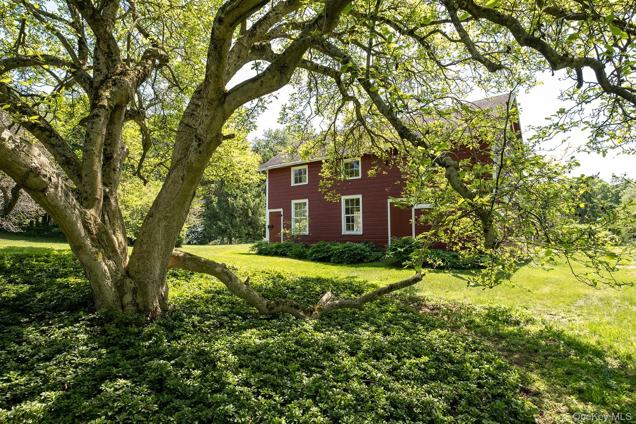 Barn from under the Magnolia tree Barn from under the Magnolia tree