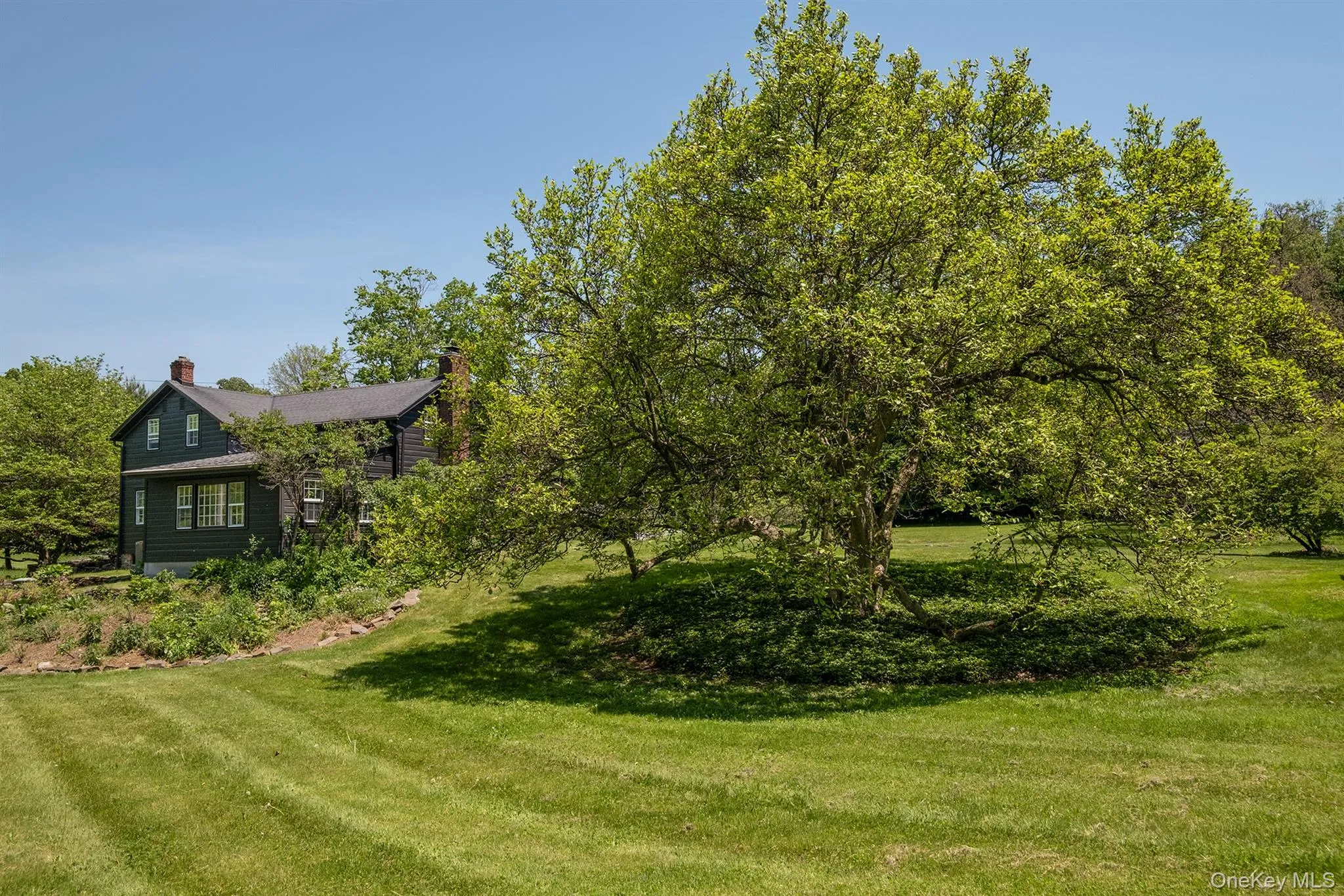 Lush green lawn Lush green lawn