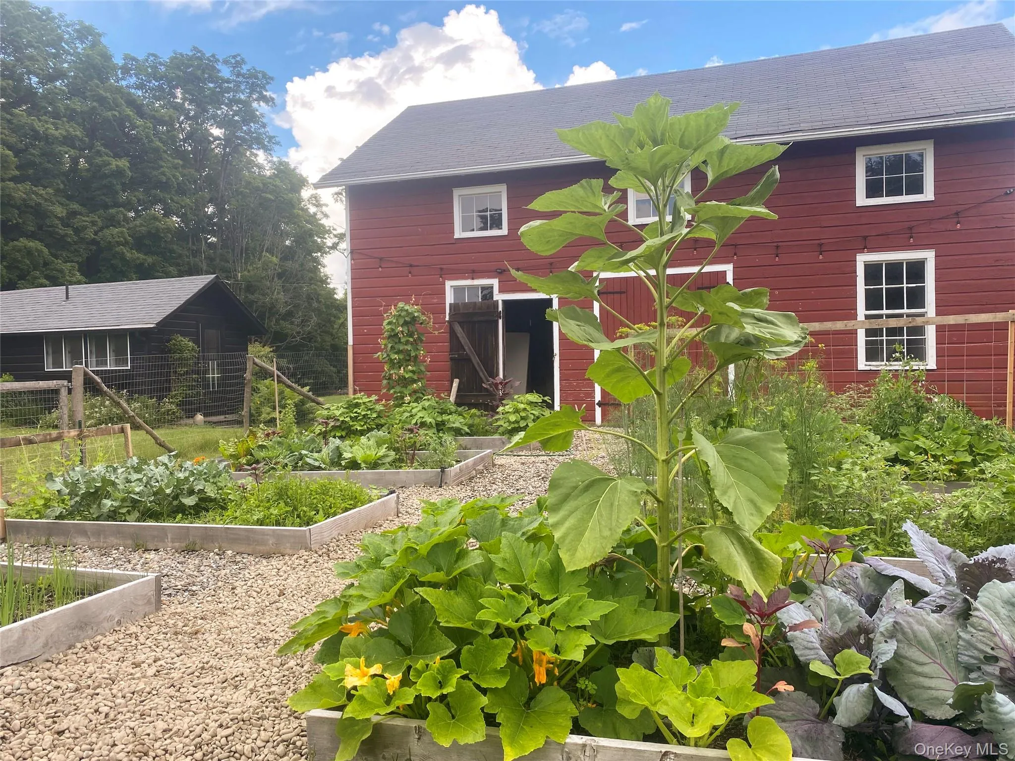 77 UPPER HOOK Road, Rhinebeck, NY, 3 Bedrooms Bedrooms, 9 Rooms Rooms,1 BathroomBathrooms,Residential Sale,For Rent,UPPER HOOK,0,1003330 77 UPPER HOOK Road, Rhinebeck, NY, 3 Bedrooms Bedrooms, 9 Rooms Rooms,1 BathroomBathrooms,Residential Sale,For Rent,UPPER HOOK,0,1003330