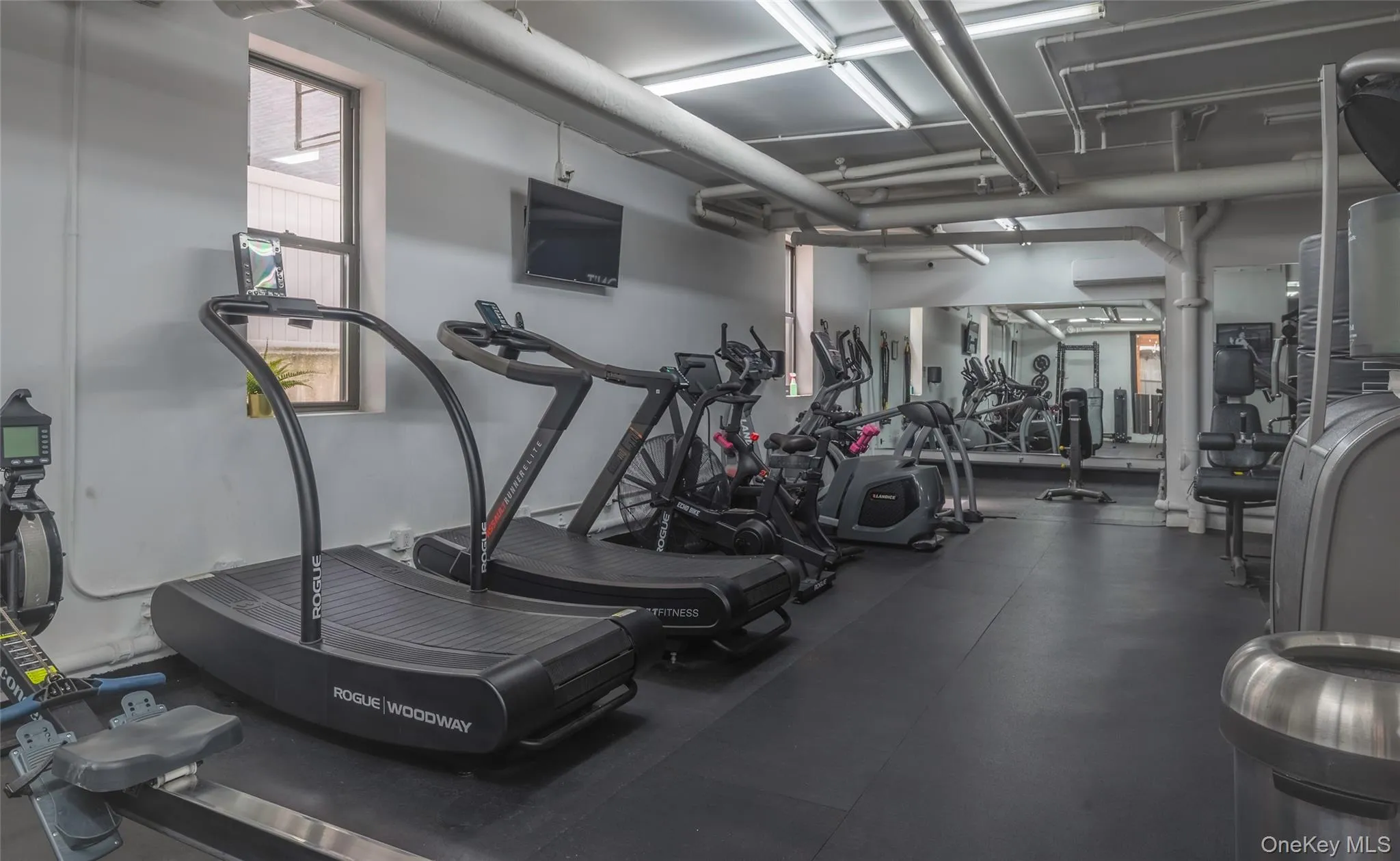 24-51 38TH Street, New York, NY, 2 Bedrooms Bedrooms, 3 Rooms Rooms,1 BathroomBathrooms,Residential,For Rent,38TH,0,1003331 24-51 38TH Street, New York, NY, 2 Bedrooms Bedrooms, 3 Rooms Rooms,1 BathroomBathrooms,Residential,For Rent,38TH,0,1003331