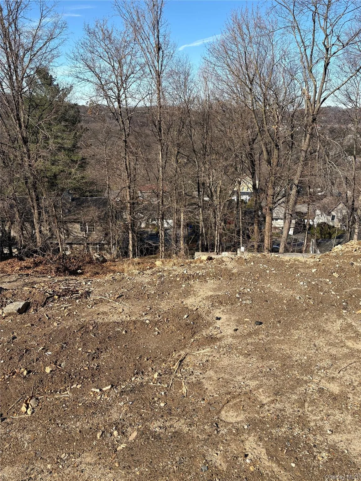 View of undeveloped land View of undeveloped land
