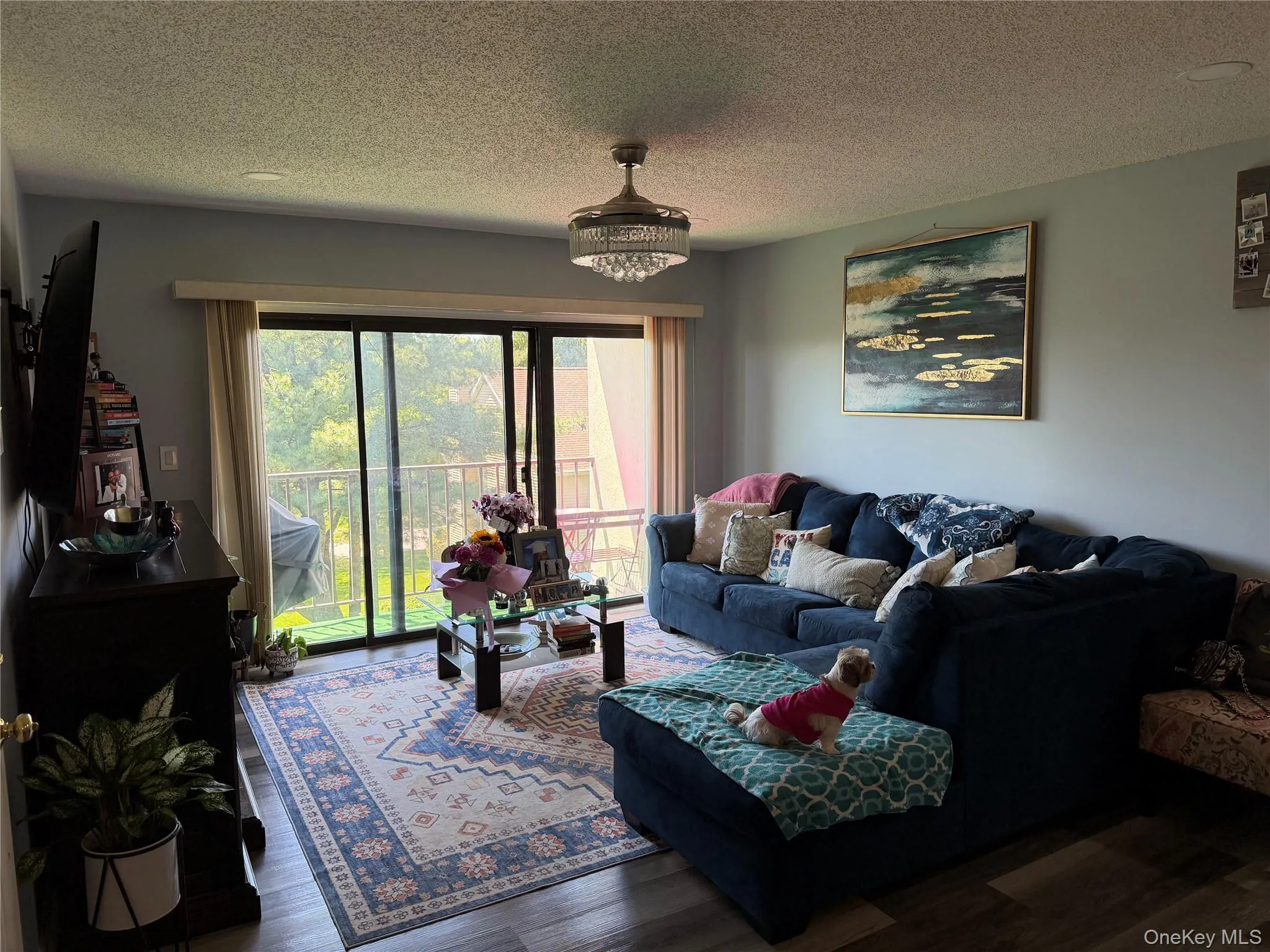 Living area featuring wood-finish flooring, light gray wall paint, and a textured ceiling Living area featuring wood-finish flooring, light gray wall paint, and a textured ceiling