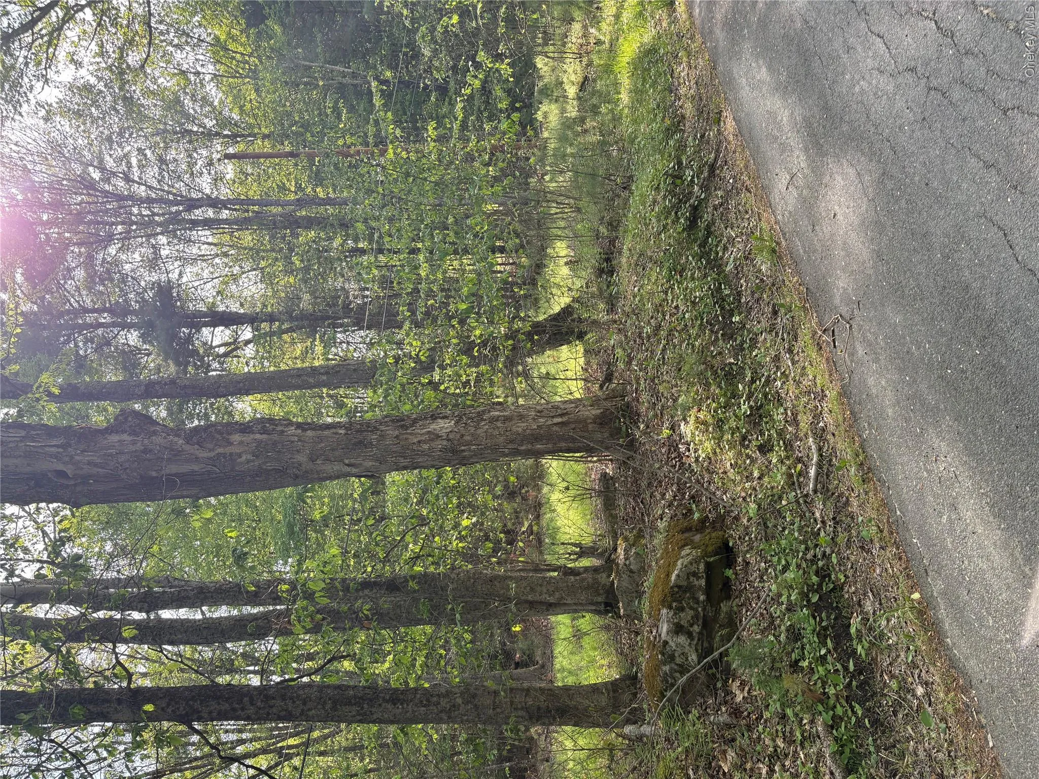 Lucks Road, Wawarsing, NY, ,Land,For Rent,Lucks,0,1003349 Lucks Road, Wawarsing, NY, ,Land,For Rent,Lucks,0,1003349