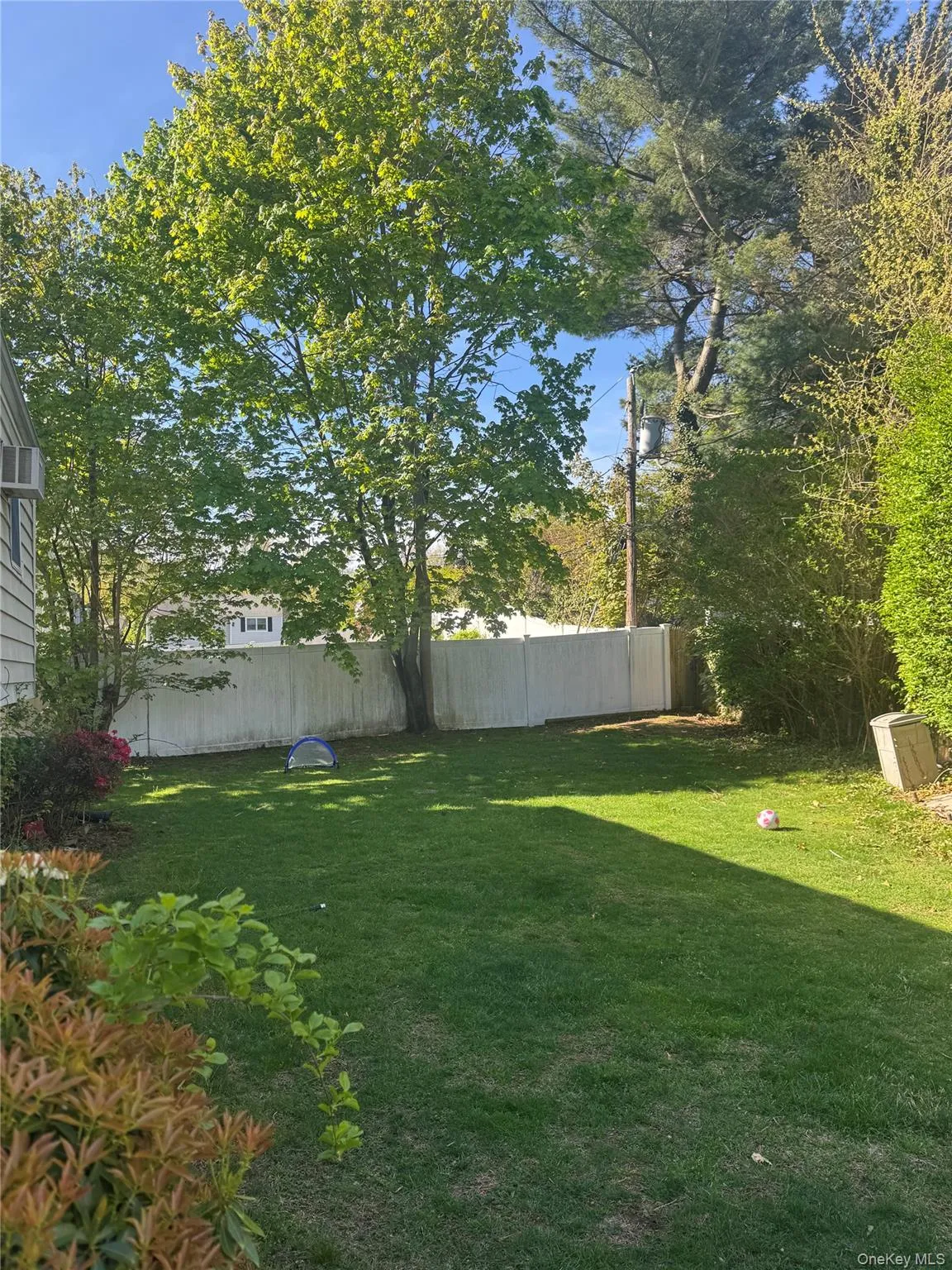 Backyard Backyard