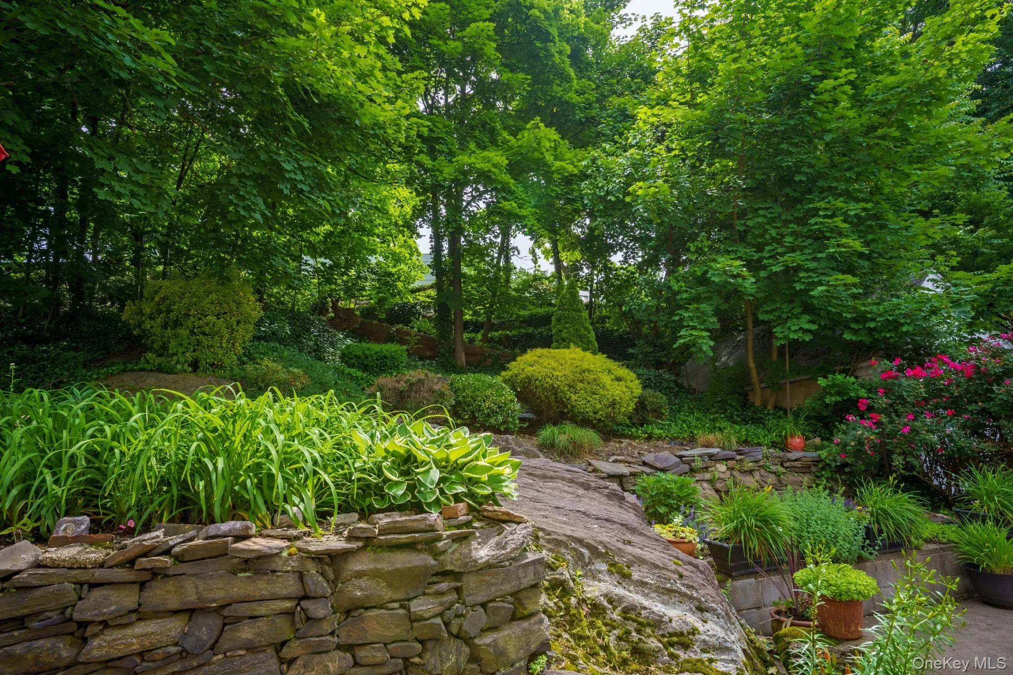 9 Esplanade, Mount Vernon, NY, 3 Bedrooms Bedrooms, 9 Rooms Rooms,2 BathroomsBathrooms,Residential,For Rent,Esplanade,0,1003363 9 Esplanade, Mount Vernon, NY, 3 Bedrooms Bedrooms, 9 Rooms Rooms,2 BathroomsBathrooms,Residential,For Rent,Esplanade,0,1003363