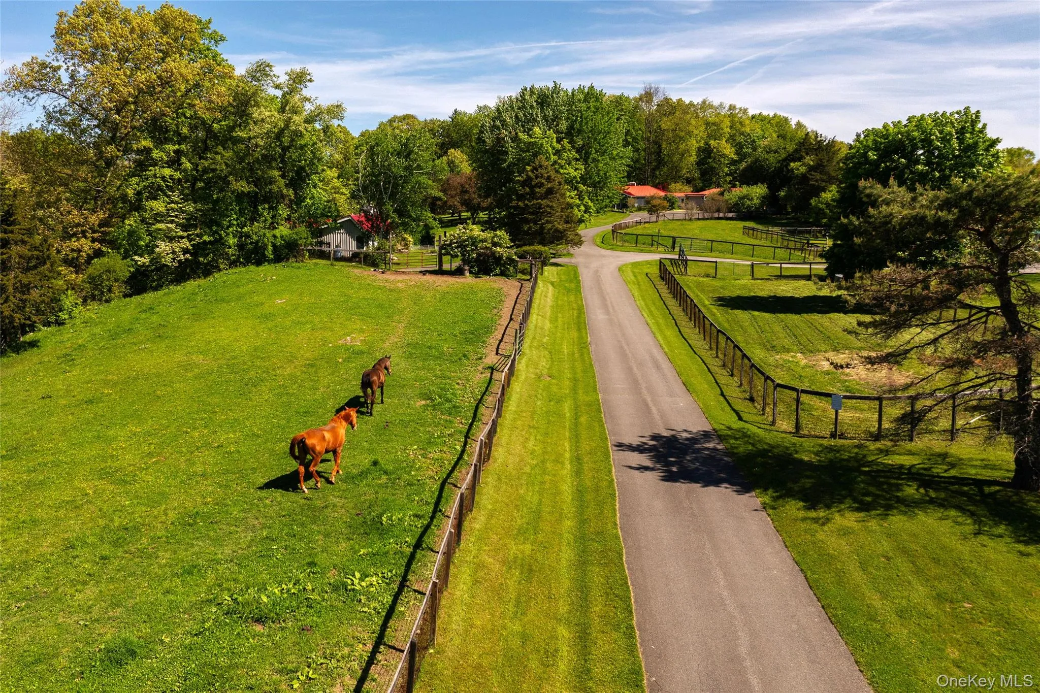 52 Pells Road, Rhinebeck, NY, 7 Bedrooms Bedrooms, 13 Rooms Rooms,4 BathroomsBathrooms,Residential,For Rent,Pells,0,1003365 52 Pells Road, Rhinebeck, NY, 7 Bedrooms Bedrooms, 13 Rooms Rooms,4 BathroomsBathrooms,Residential,For Rent,Pells,0,1003365