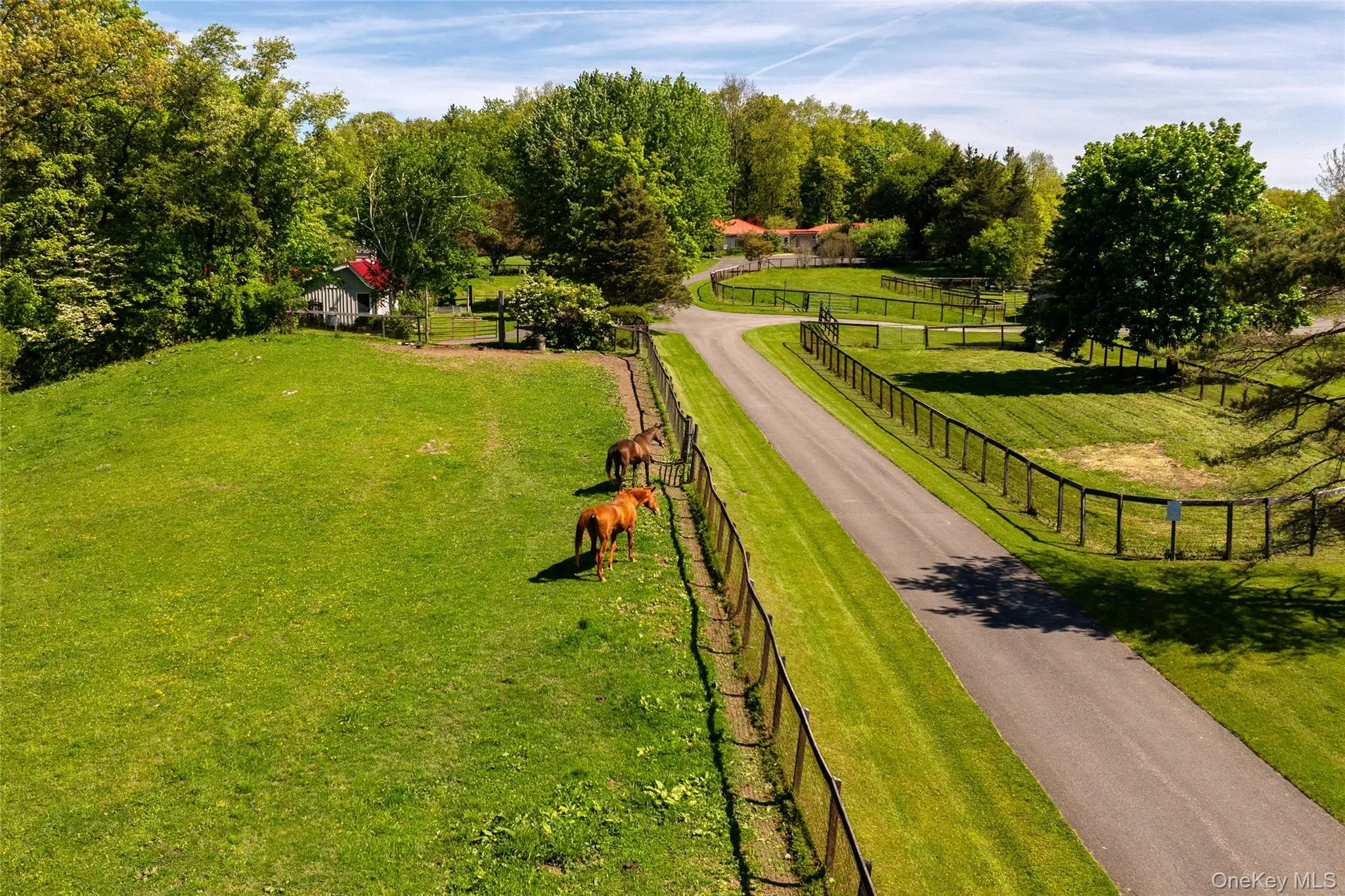 52 Pells Road, Rhinebeck, NY, 7 Bedrooms Bedrooms, 13 Rooms Rooms,4 BathroomsBathrooms,Residential,For Rent,Pells,0,1003365 52 Pells Road, Rhinebeck, NY, 7 Bedrooms Bedrooms, 13 Rooms Rooms,4 BathroomsBathrooms,Residential,For Rent,Pells,0,1003365