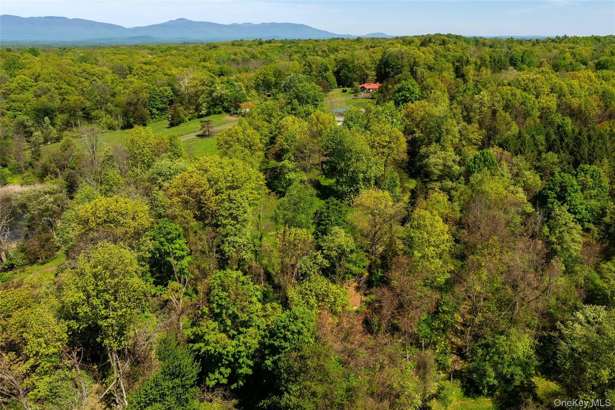 52 Pells Road, Rhinebeck, NY, 7 Bedrooms Bedrooms, 13 Rooms Rooms,4 BathroomsBathrooms,Residential,For Rent,Pells,0,1003365 52 Pells Road, Rhinebeck, NY, 7 Bedrooms Bedrooms, 13 Rooms Rooms,4 BathroomsBathrooms,Residential,For Rent,Pells,0,1003365