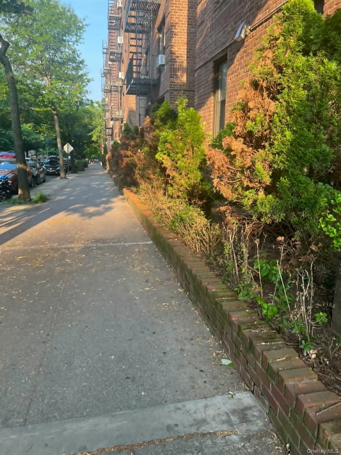 83-75 Woodhaven Boulevard, New York, NY, ,Commercial Lease,For Rent,Woodhaven,0,1003400 83-75 Woodhaven Boulevard, New York, NY, ,Commercial Lease,For Rent,Woodhaven,0,1003400