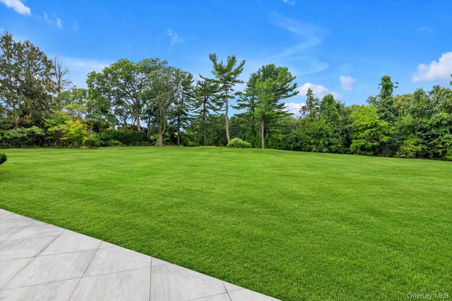 26 Bacon Road, North Hempstead, NY, 5 Bedrooms Bedrooms, 17 Rooms Rooms,6 BathroomsBathrooms,Residential,For Rent,Bacon,0,1003422 26 Bacon Road, North Hempstead, NY, 5 Bedrooms Bedrooms, 17 Rooms Rooms,6 BathroomsBathrooms,Residential,For Rent,Bacon,0,1003422