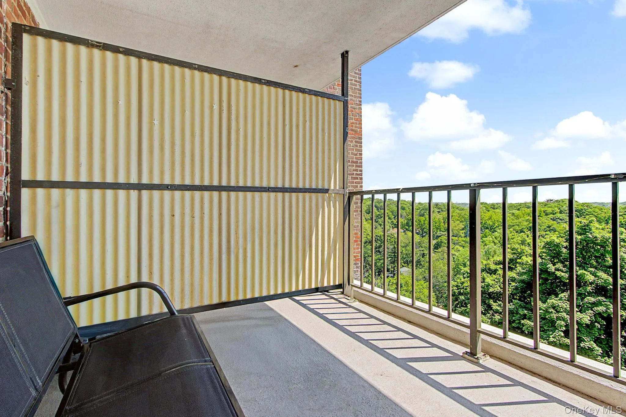 Private balcony featuring a concrete floor, dark metal railings, and a corrugated privacy screen Private balcony featuring a concrete floor, dark metal railings, and a corrugated privacy screen