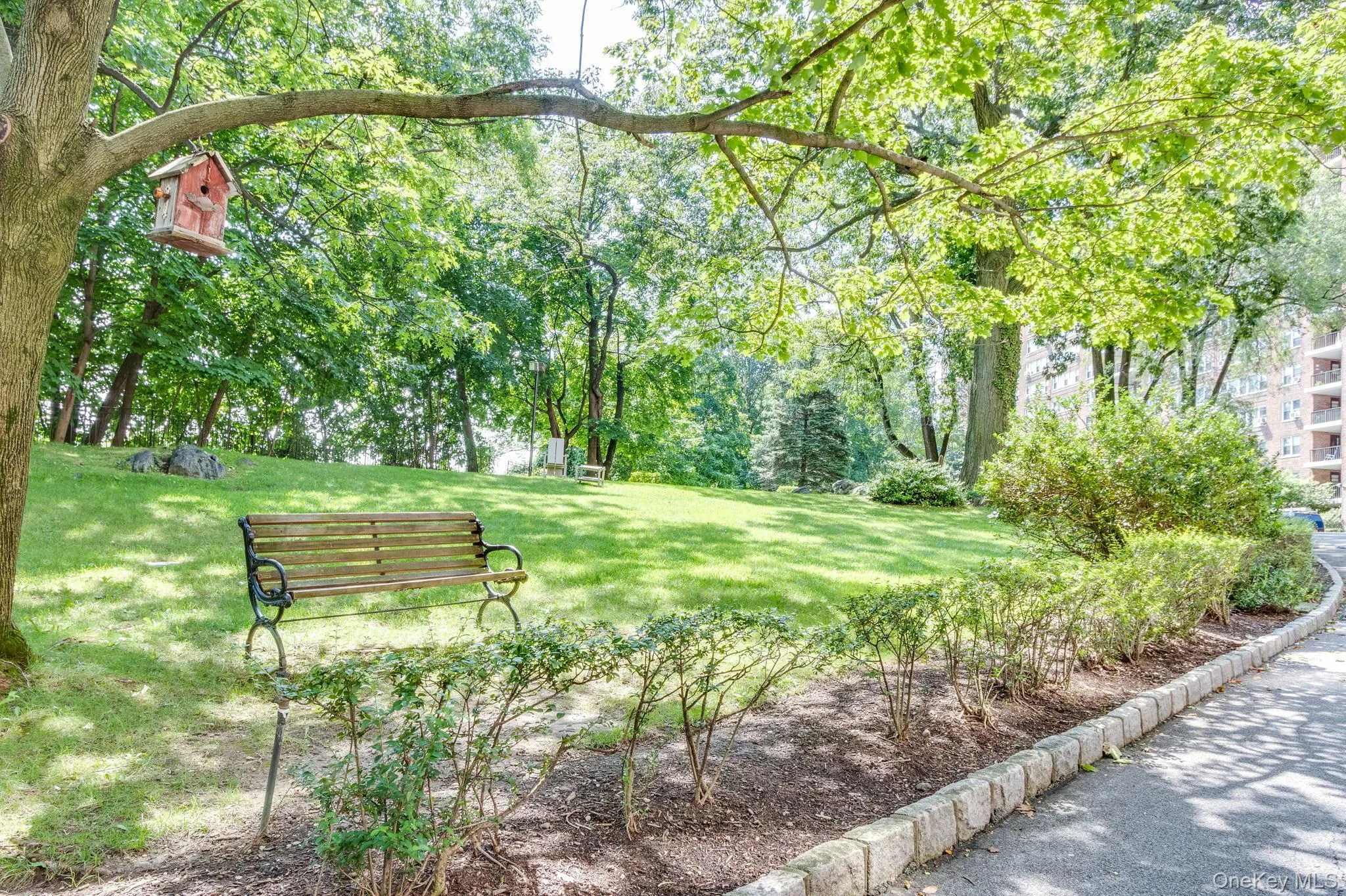 Expansive green space featuring mature trees, a manicured lawn, and a classic park bench Expansive green space featuring mature trees, a manicured lawn, and a classic park bench