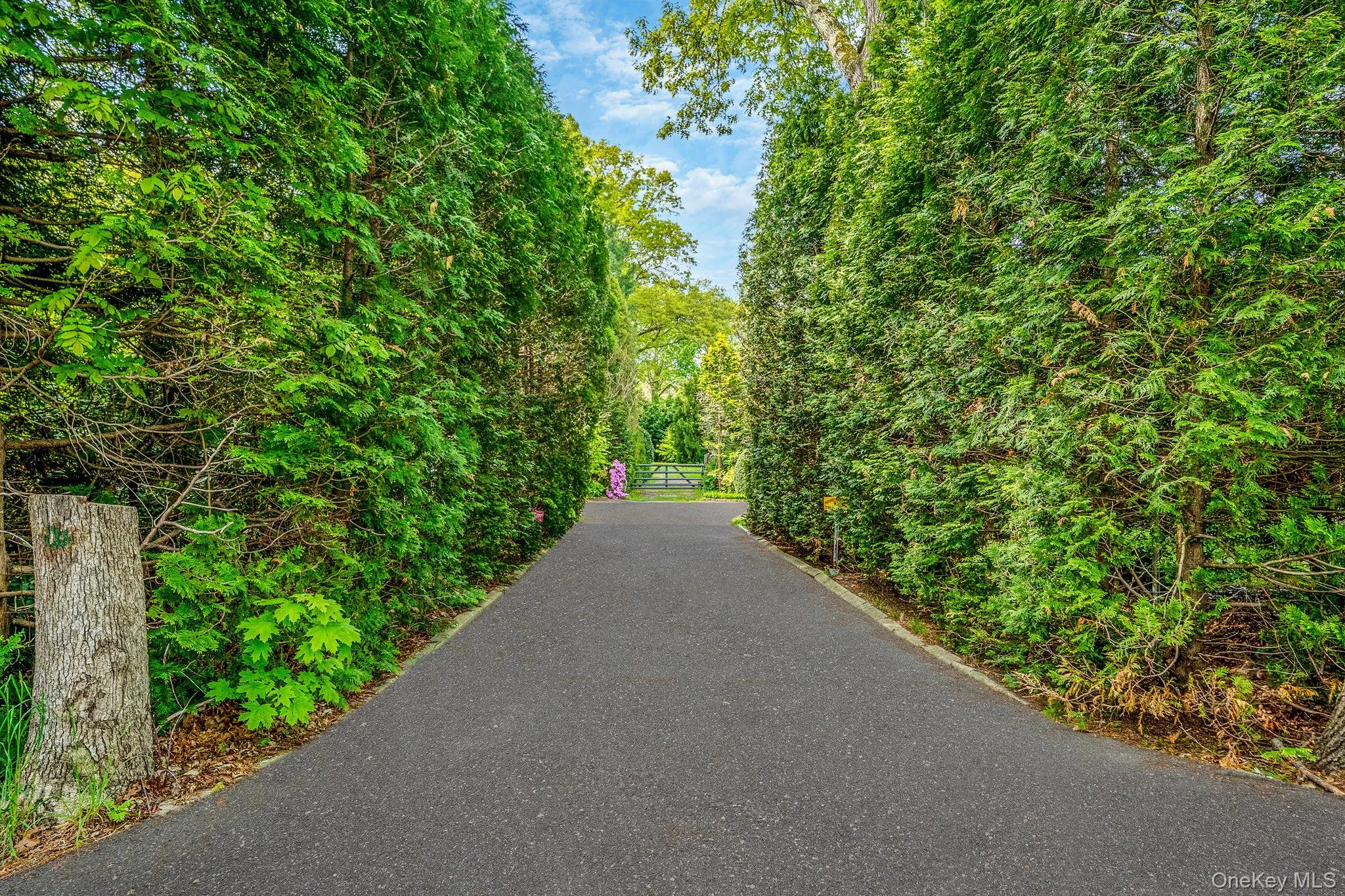 280 Deforest Road, Huntington, NY, 3 Bedrooms Bedrooms, 8 Rooms Rooms,2 BathroomsBathrooms,Residential,For Rent,Deforest,0,1003463 280 Deforest Road, Huntington, NY, 3 Bedrooms Bedrooms, 8 Rooms Rooms,2 BathroomsBathrooms,Residential,For Rent,Deforest,0,1003463