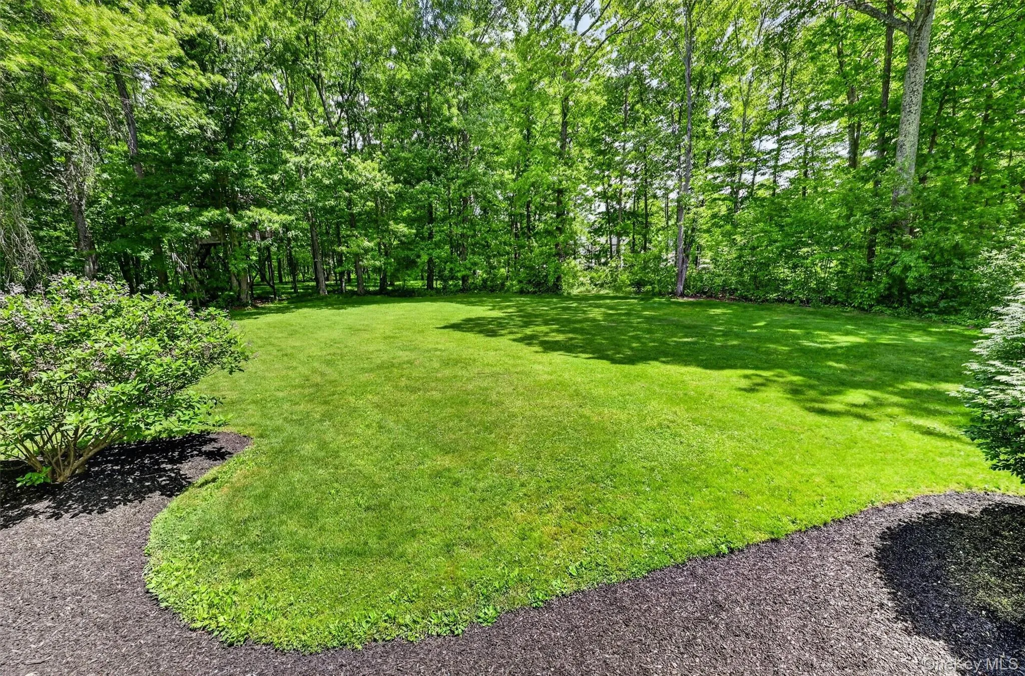Expansive green lawn surrounded by mature deciduous trees Expansive green lawn surrounded by mature deciduous trees