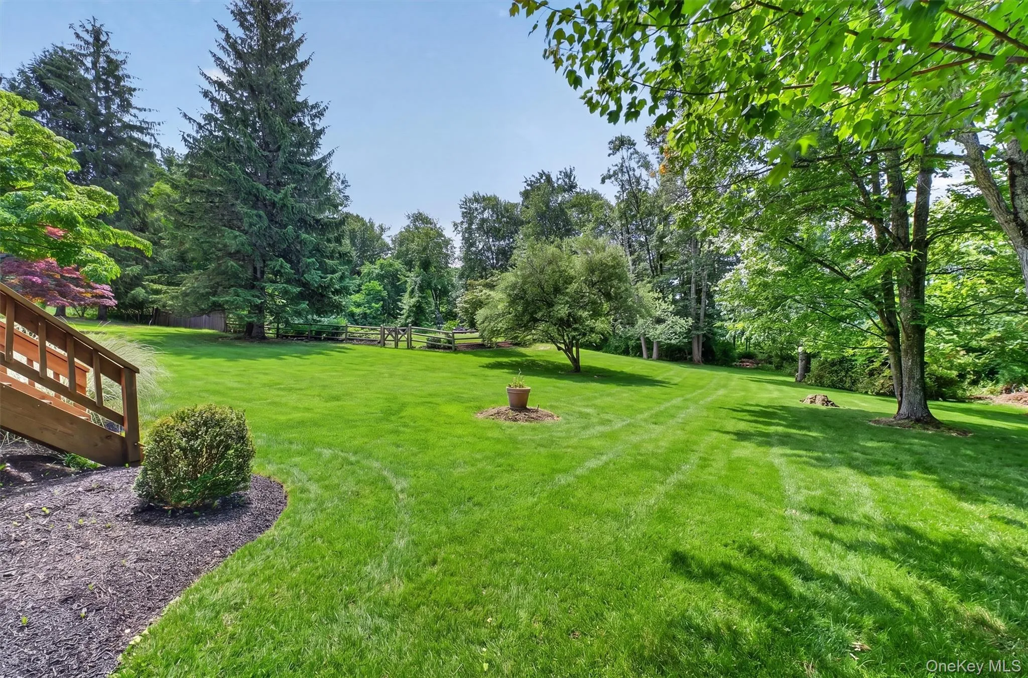 Gorgeous Yard Gorgeous Yard