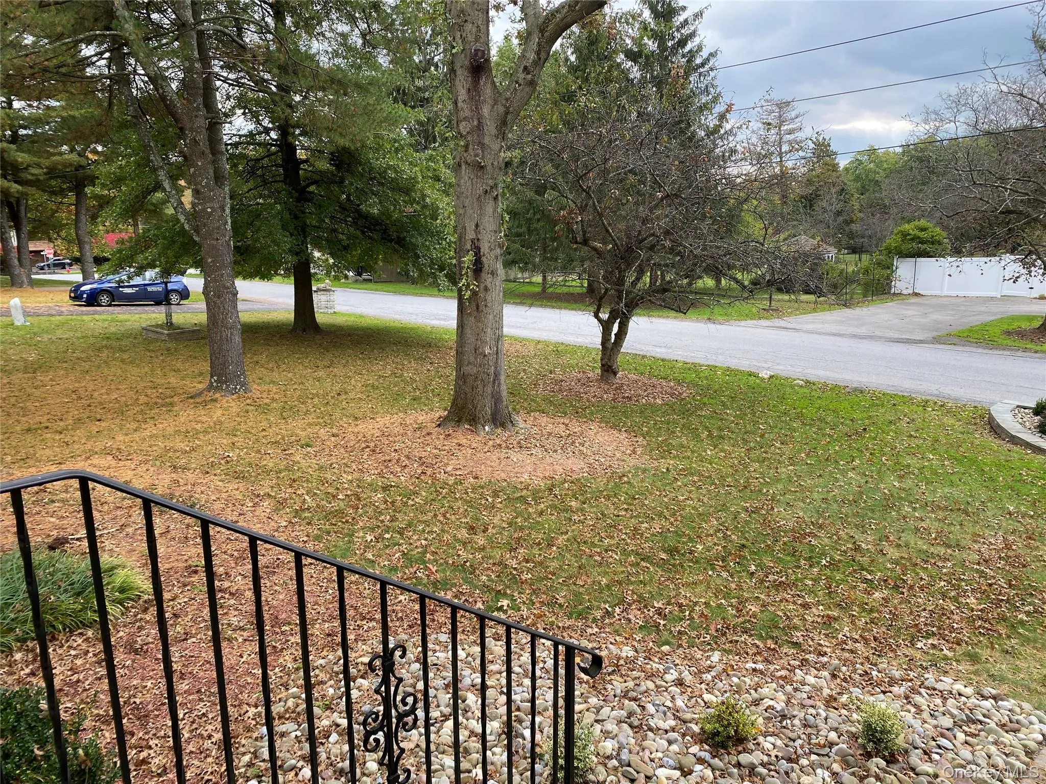 Front Lawn Front Lawn