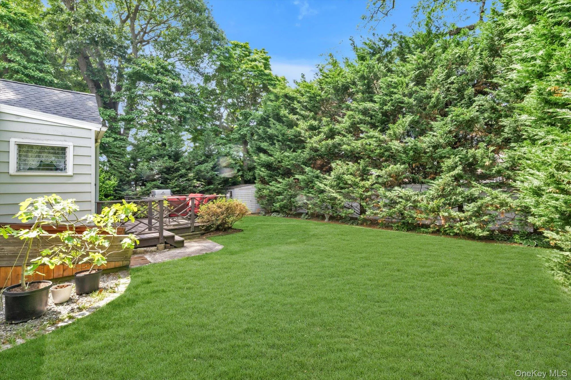 Beautifully landscaped backyard Beautifully landscaped backyard