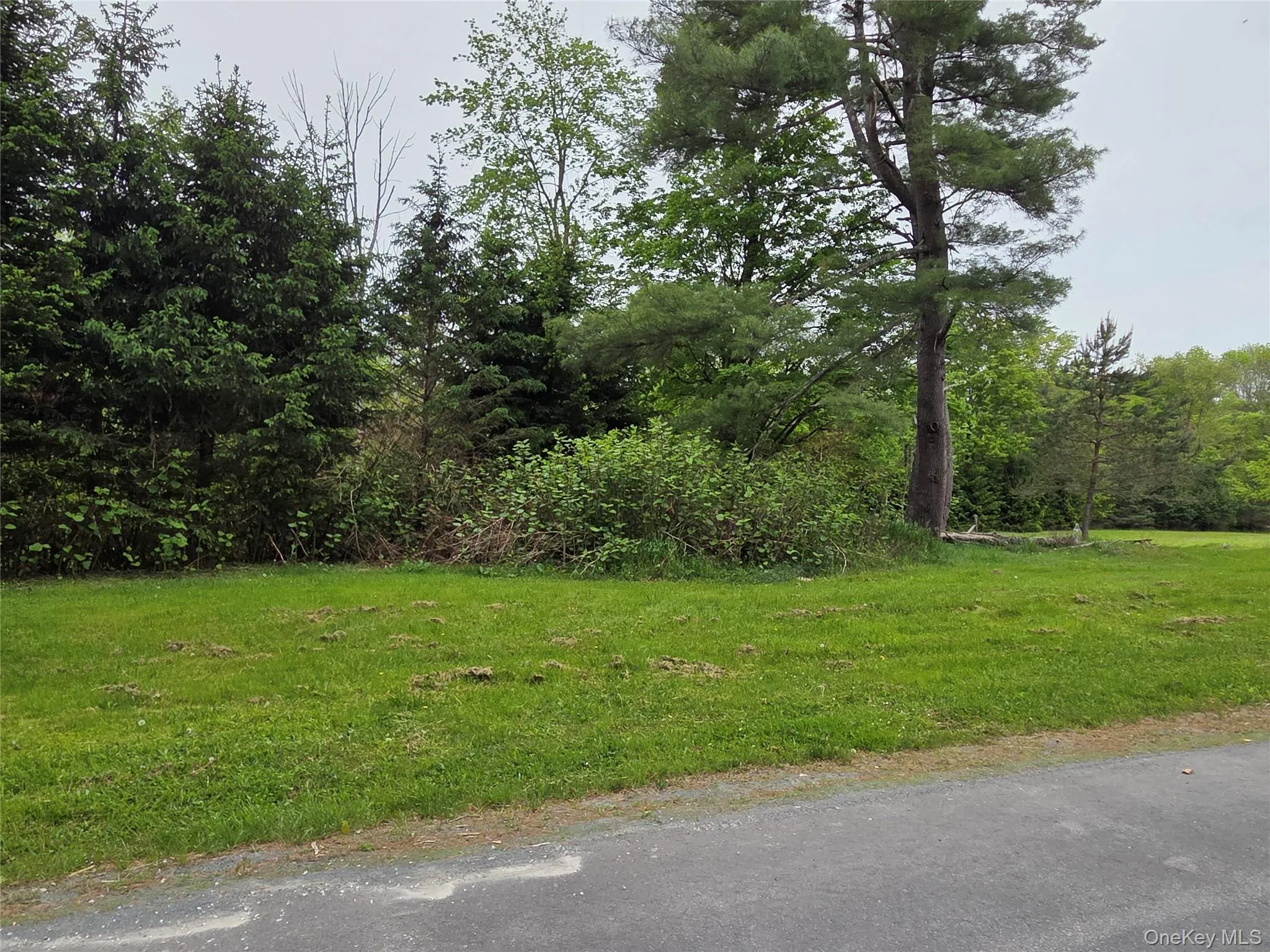 125 Zimmerman Road, Fallsburg, NY, 3 Bedrooms Bedrooms, 9 Rooms Rooms,2 BathroomsBathrooms,Residential,For Rent,Zimmerman,0,1003489 125 Zimmerman Road, Fallsburg, NY, 3 Bedrooms Bedrooms, 9 Rooms Rooms,2 BathroomsBathrooms,Residential,For Rent,Zimmerman,0,1003489