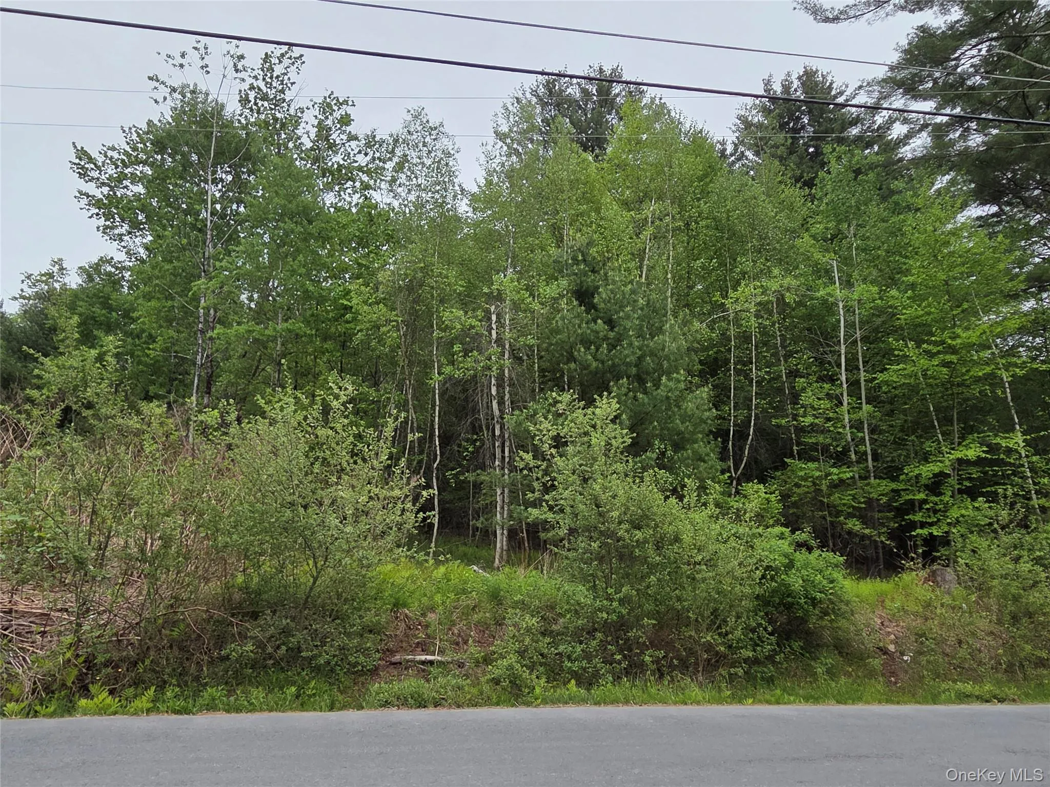 125 Zimmerman Road, Fallsburg, NY, 3 Bedrooms Bedrooms, 9 Rooms Rooms,2 BathroomsBathrooms,Residential,For Rent,Zimmerman,0,1003489 125 Zimmerman Road, Fallsburg, NY, 3 Bedrooms Bedrooms, 9 Rooms Rooms,2 BathroomsBathrooms,Residential,For Rent,Zimmerman,0,1003489
