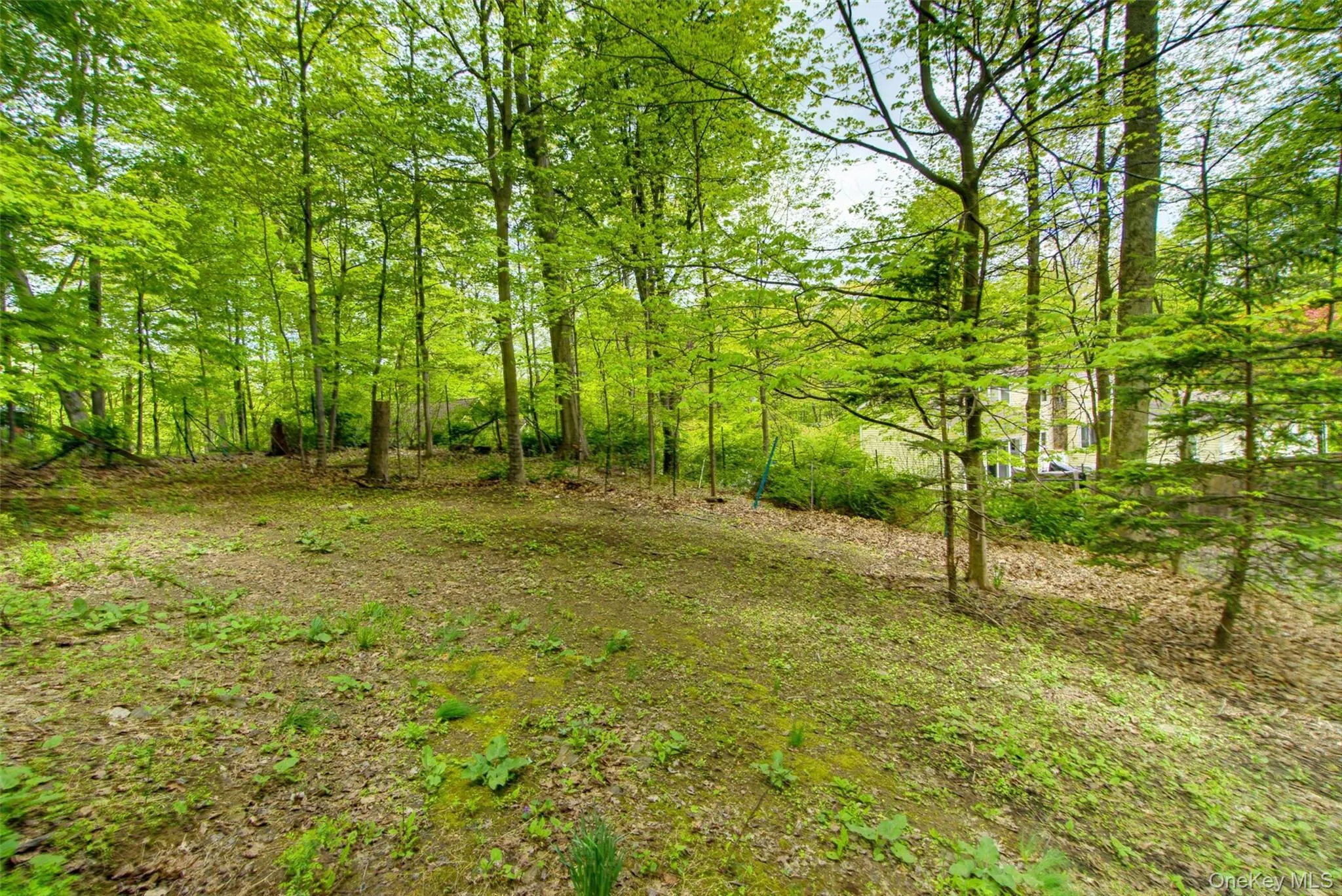98 Mount Airy Road, Cortlandt, NY, 3 Bedrooms Bedrooms, 6 Rooms Rooms,2 BathroomsBathrooms,Residential Sale,For Rent,Mount Airy,0,1003495 98 Mount Airy Road, Cortlandt, NY, 3 Bedrooms Bedrooms, 6 Rooms Rooms,2 BathroomsBathrooms,Residential Sale,For Rent,Mount Airy,0,1003495