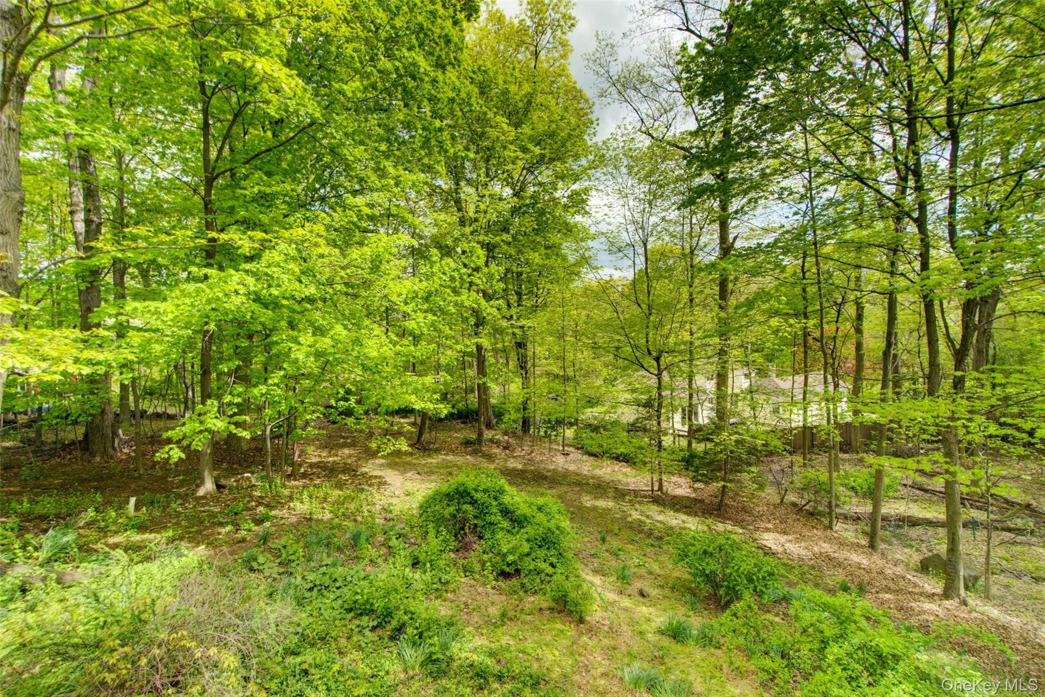 98 Mount Airy Road, Cortlandt, NY, 3 Bedrooms Bedrooms, 6 Rooms Rooms,2 BathroomsBathrooms,Residential Sale,For Rent,Mount Airy,0,1003495 98 Mount Airy Road, Cortlandt, NY, 3 Bedrooms Bedrooms, 6 Rooms Rooms,2 BathroomsBathrooms,Residential Sale,For Rent,Mount Airy,0,1003495