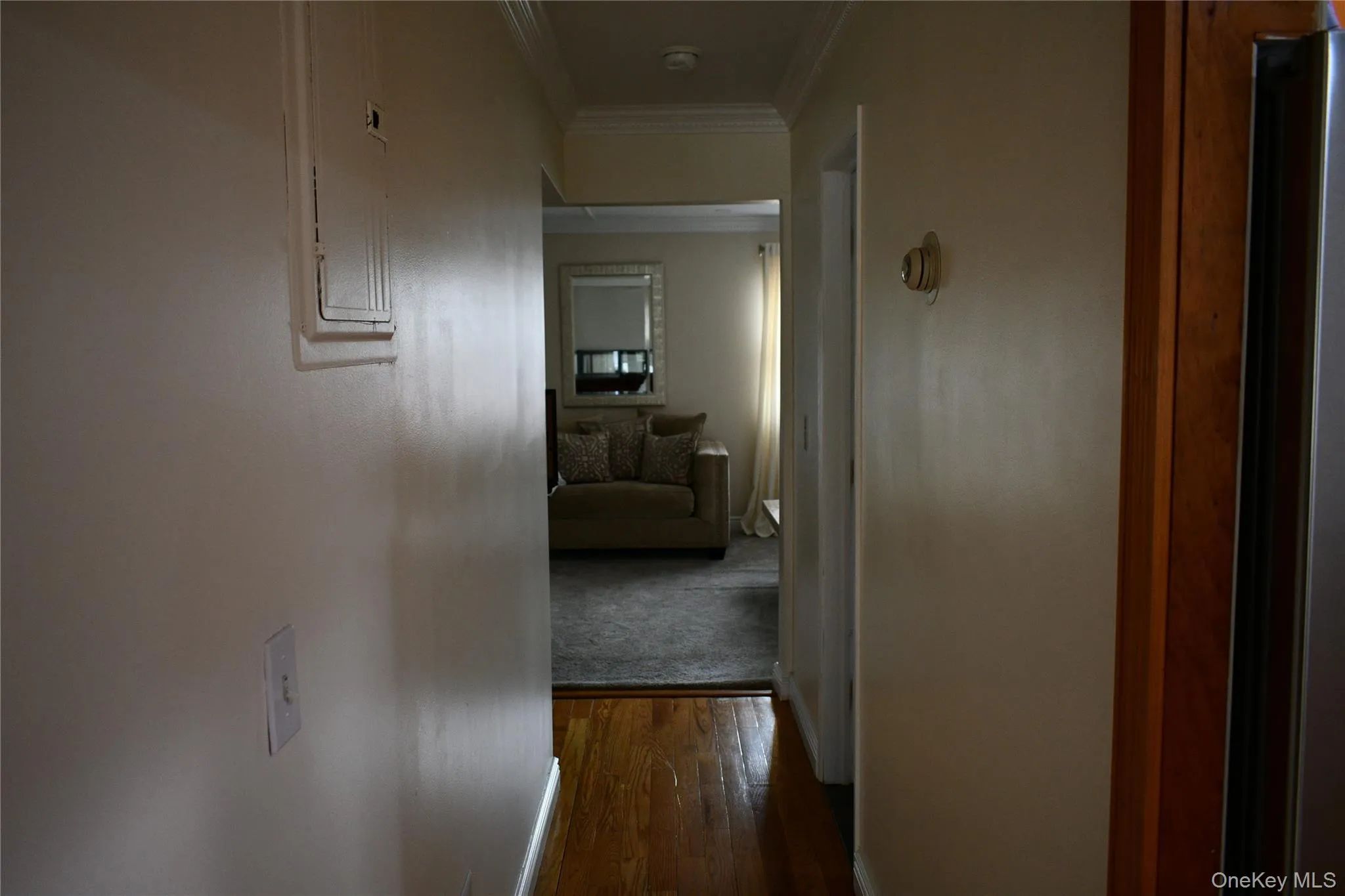 223-15 109th Avenue, New York, NY, 3 Bedrooms Bedrooms, 8 Rooms Rooms,2 BathroomsBathrooms,Residential,For Rent,109th,0,1003501 223-15 109th Avenue, New York, NY, 3 Bedrooms Bedrooms, 8 Rooms Rooms,2 BathroomsBathrooms,Residential,For Rent,109th,0,1003501