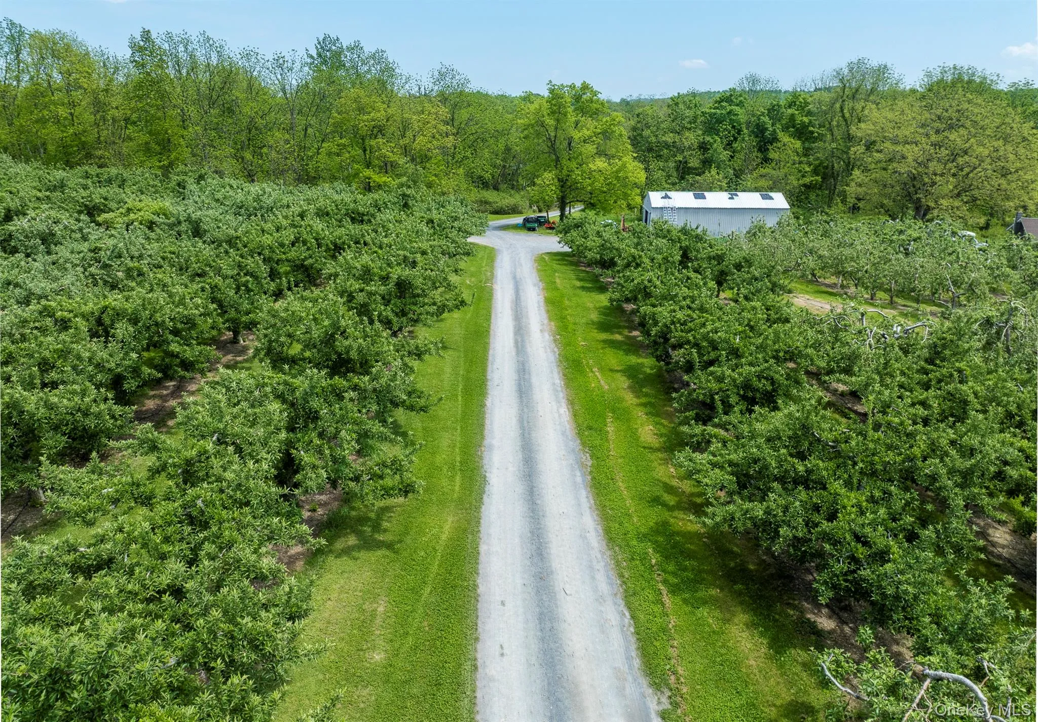 641 North Avenue, Pleasant Valley, NY, ,Land,For Rent,North,0,1003510 641 North Avenue, Pleasant Valley, NY, ,Land,For Rent,North,0,1003510