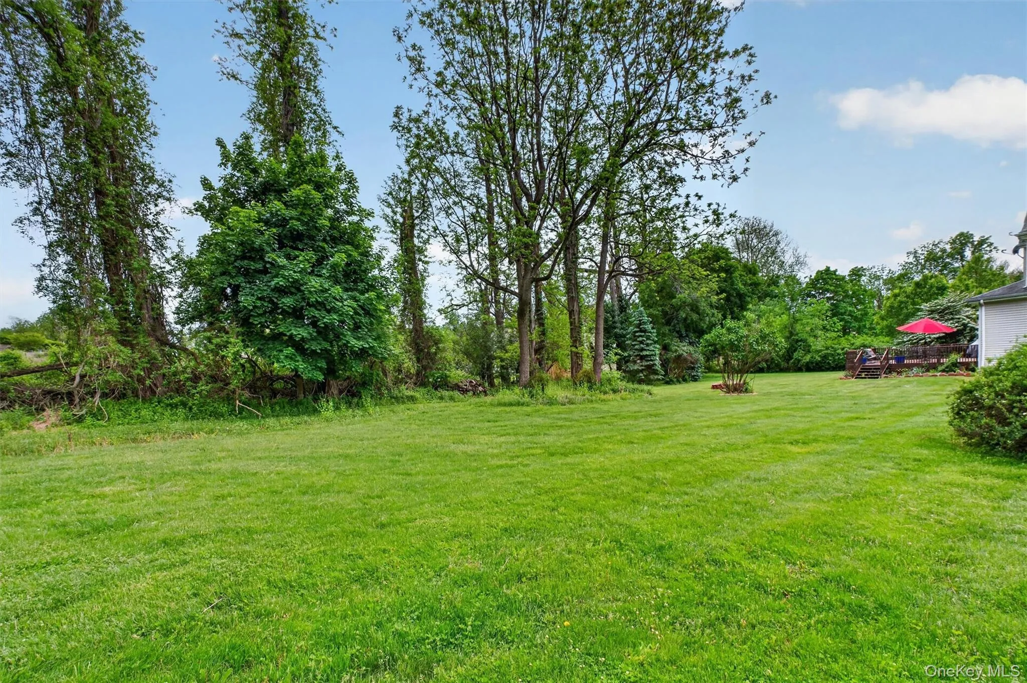 12 Loosestrife Drive, East Fishkill, NY, 4 Bedrooms Bedrooms, 13 Rooms Rooms,3 BathroomsBathrooms,Residential,For Rent,Loosestrife,0,1003511 12 Loosestrife Drive, East Fishkill, NY, 4 Bedrooms Bedrooms, 13 Rooms Rooms,3 BathroomsBathrooms,Residential,For Rent,Loosestrife,0,1003511
