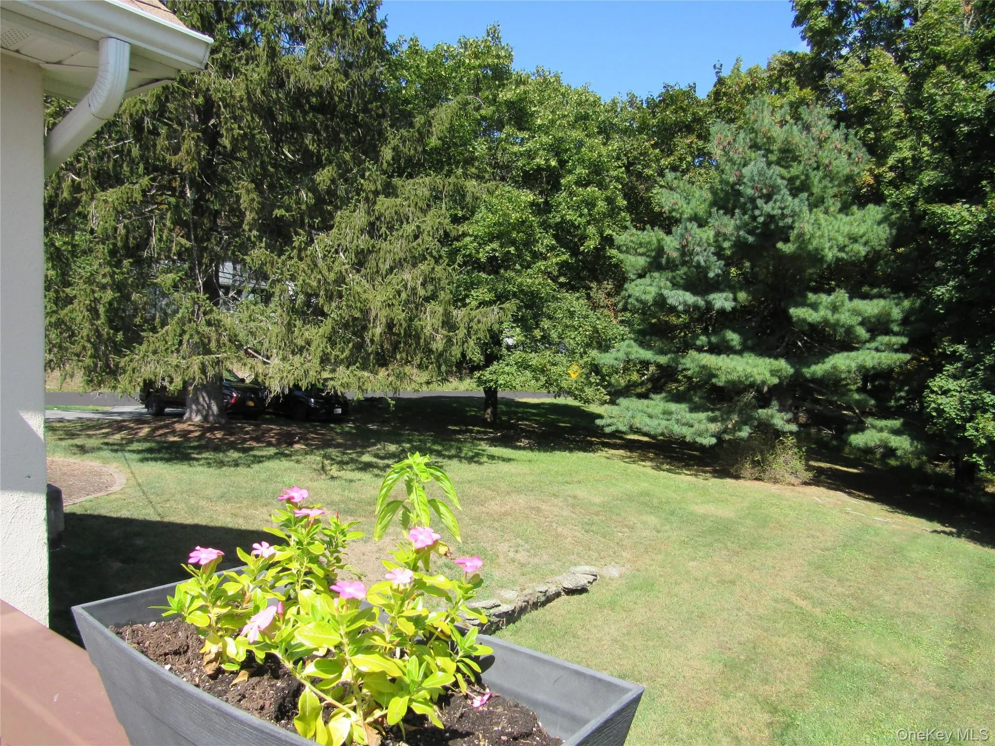 107 Pine Hill Road, Chester Town, NY, 3 Bedrooms Bedrooms, 6 Rooms Rooms,2 BathroomsBathrooms,Residential,For Rent,Pine Hill,0,1003546 107 Pine Hill Road, Chester Town, NY, 3 Bedrooms Bedrooms, 6 Rooms Rooms,2 BathroomsBathrooms,Residential,For Rent,Pine Hill,0,1003546
