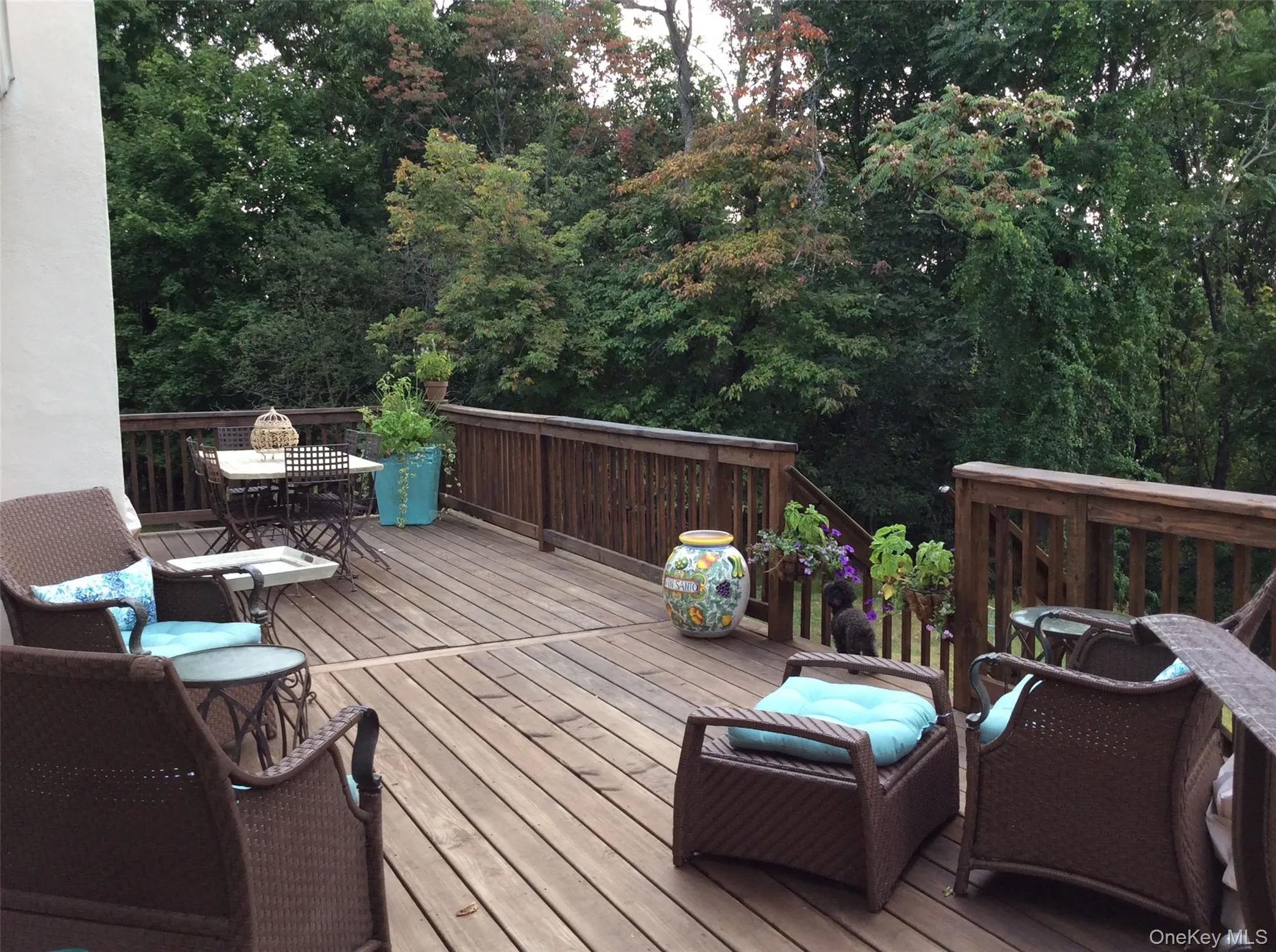 107 Pine Hill Road, Chester Town, NY, 3 Bedrooms Bedrooms, 6 Rooms Rooms,2 BathroomsBathrooms,Residential,For Rent,Pine Hill,0,1003546 107 Pine Hill Road, Chester Town, NY, 3 Bedrooms Bedrooms, 6 Rooms Rooms,2 BathroomsBathrooms,Residential,For Rent,Pine Hill,0,1003546