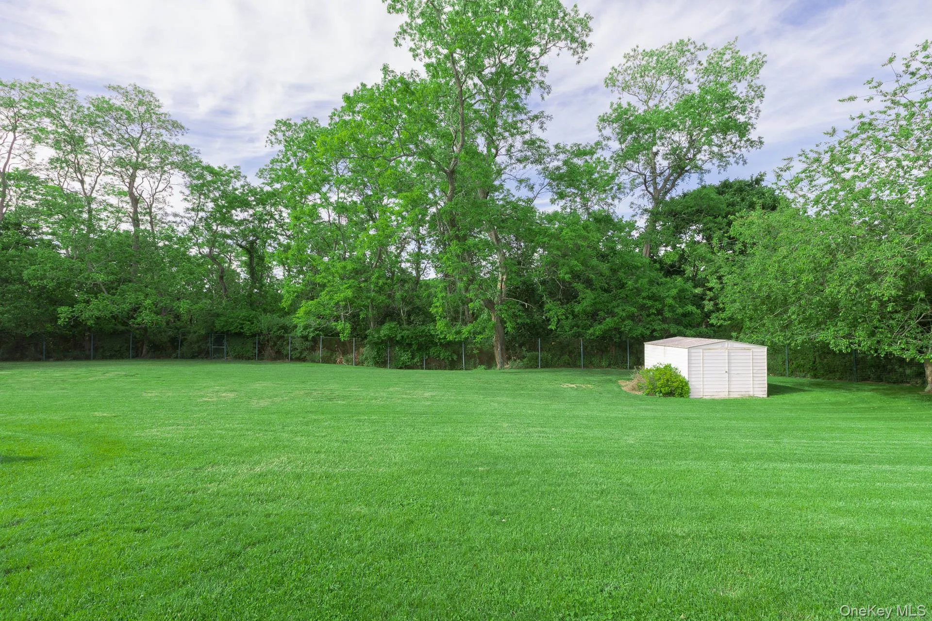 Expansive green lawn with a white storage shed Expansive green lawn with a white storage shed