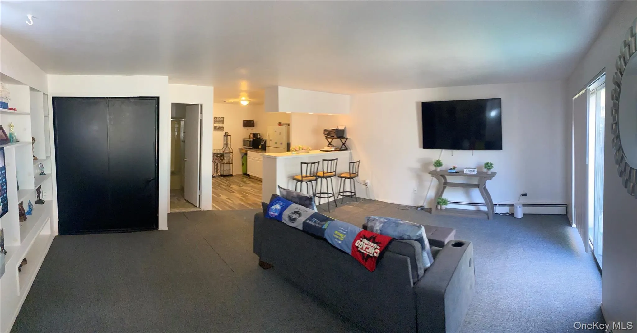 Living area featuring a baseboard heating unit and carpet Living area featuring a baseboard heating unit and carpet
