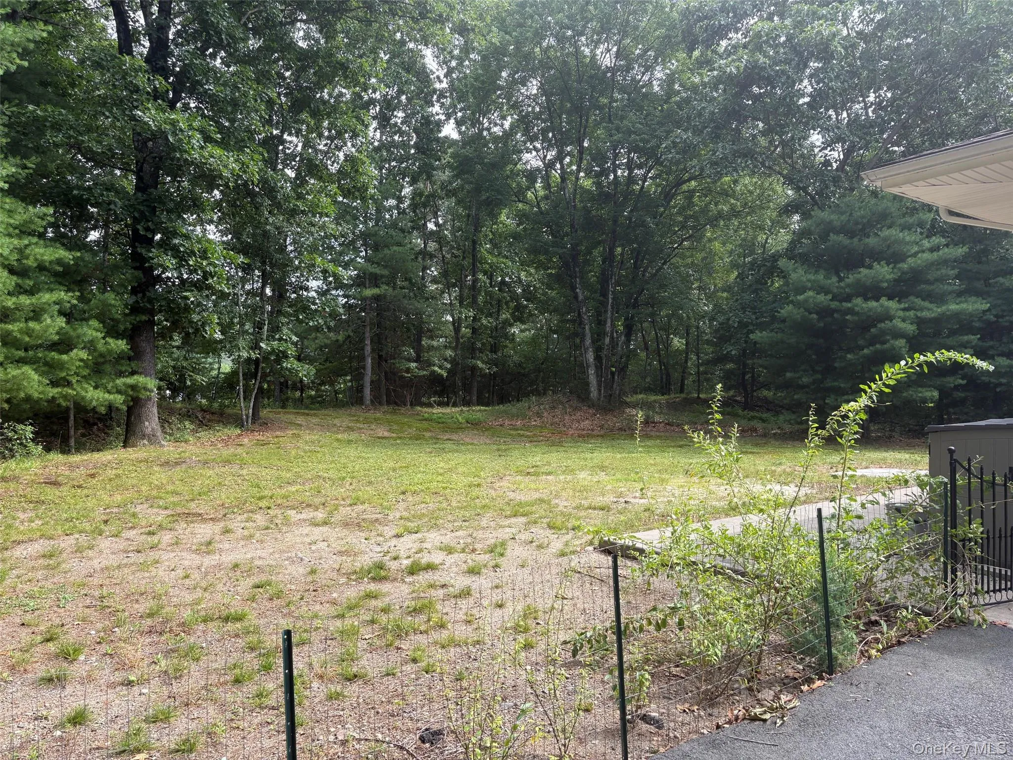 View from the back, lots of privacy with tons of trees View from the back, lots of privacy with tons of trees