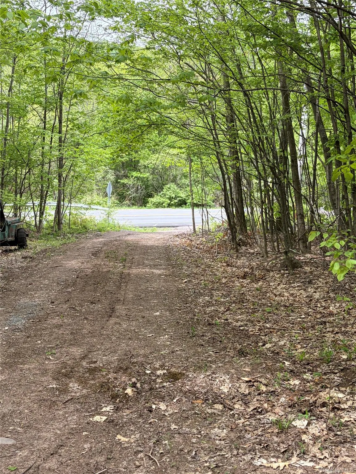 4912 County Highway 26, Hamden, NY, ,Residential,For Rent,County Highway 26,0,1003611 4912 County Highway 26, Hamden, NY, ,Residential,For Rent,County Highway 26,0,1003611