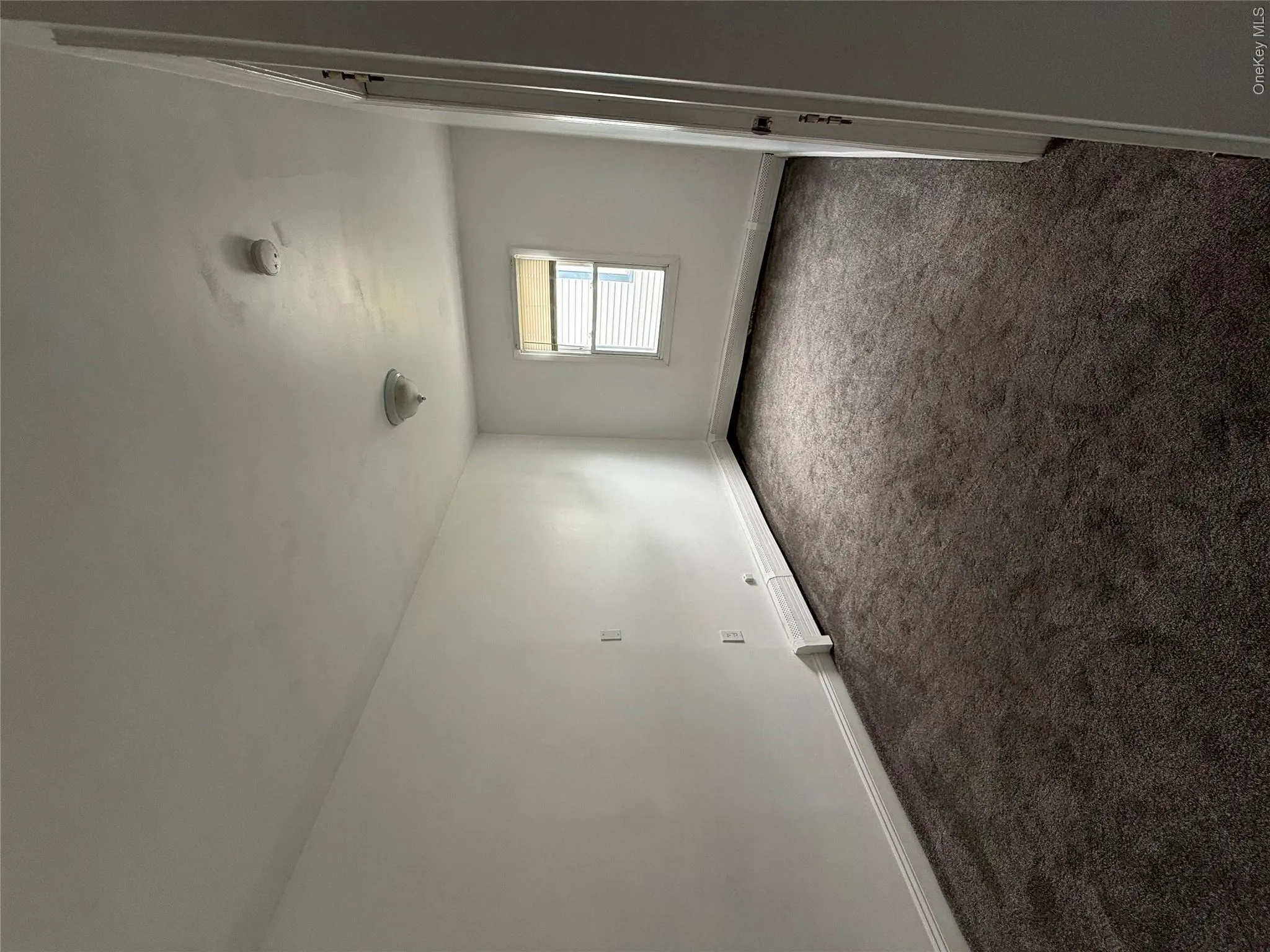 87 Parkside Drive, Hempstead, NY, 4 Bedrooms Bedrooms, 6 Rooms Rooms,2 BathroomsBathrooms,Residential Lease,For Rent,Parkside,0,1003626 87 Parkside Drive, Hempstead, NY, 4 Bedrooms Bedrooms, 6 Rooms Rooms,2 BathroomsBathrooms,Residential Lease,For Rent,Parkside,0,1003626