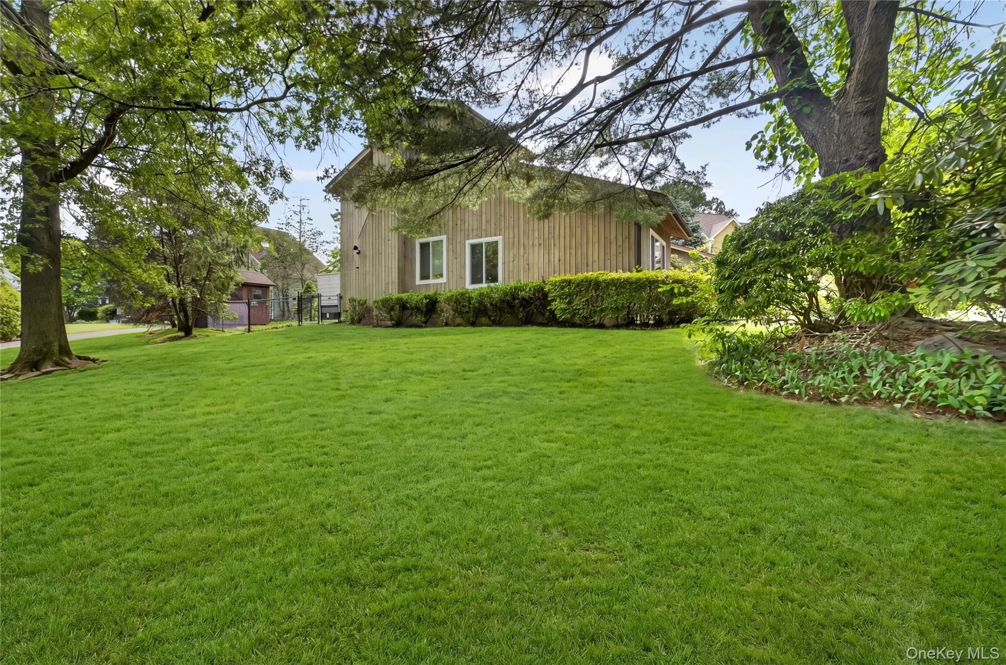 Lush side yard Lush side yard