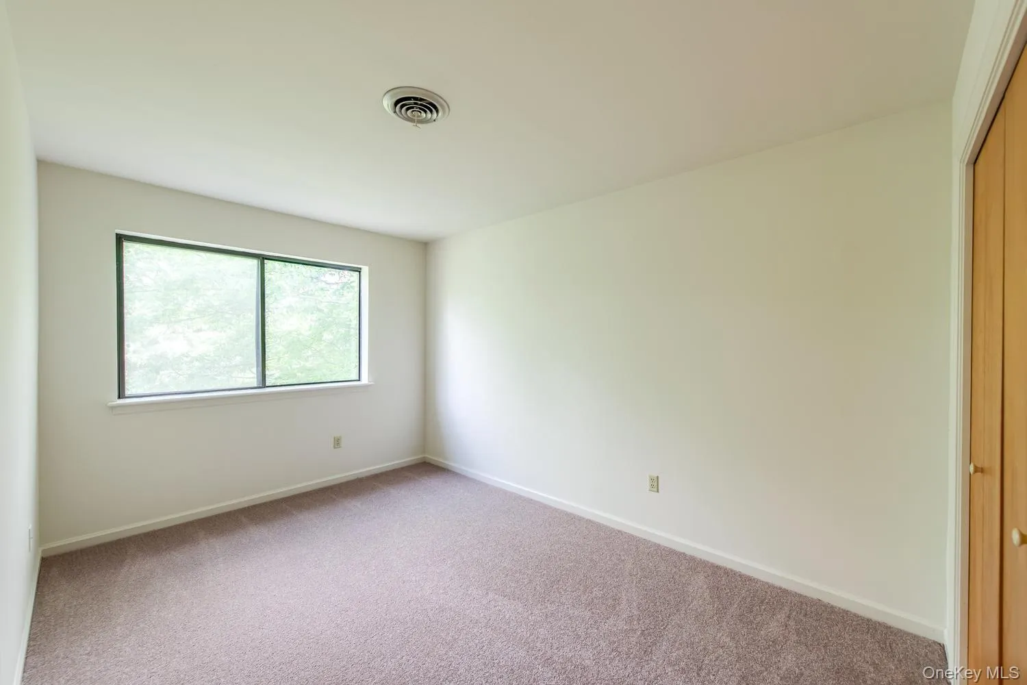 Large closet Large closet