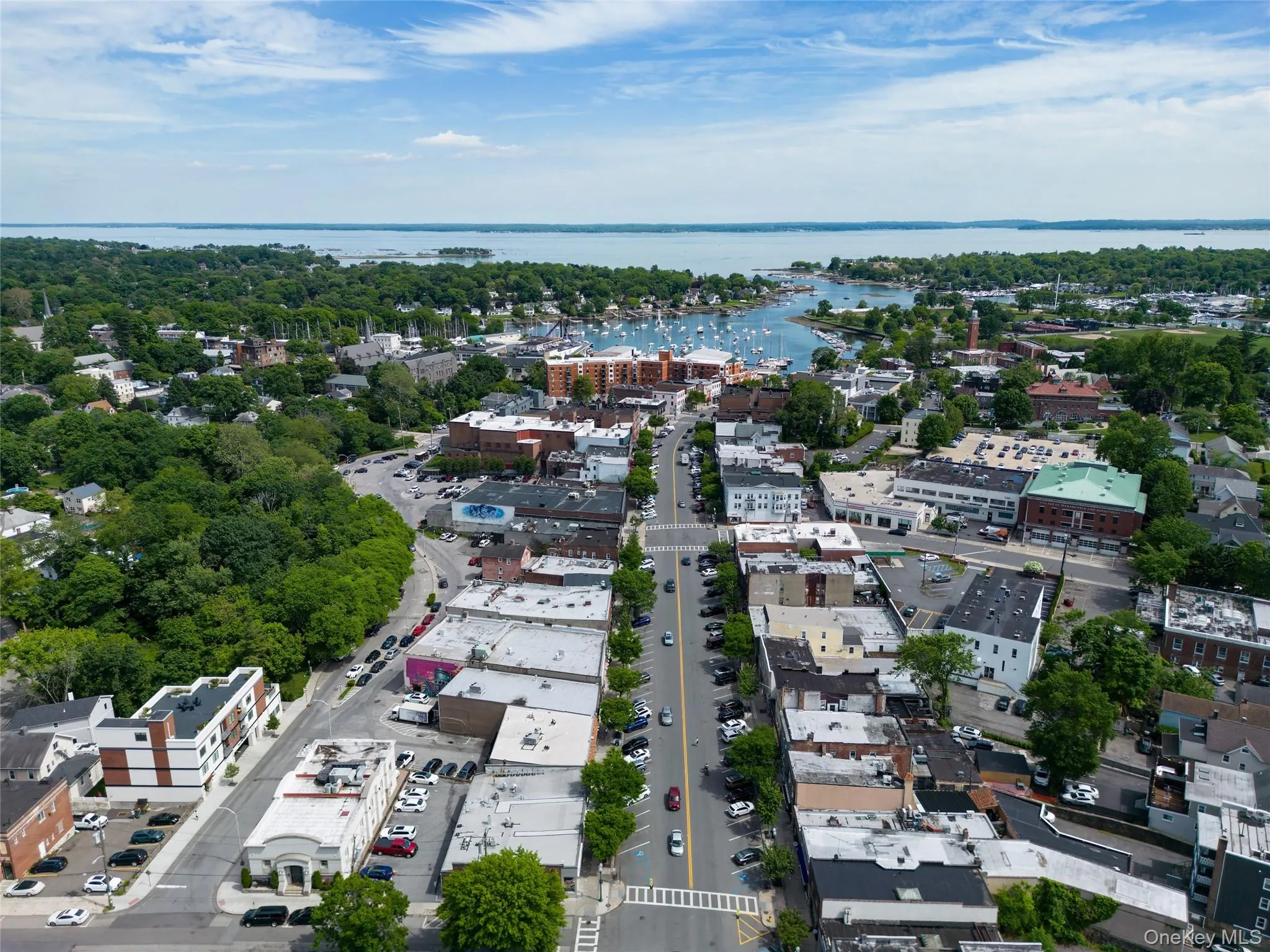 343 Mamaroneck Avenue, Mamaroneck, NY, ,Commercial Lease,For Rent,Mamaroneck,0,1003685 343 Mamaroneck Avenue, Mamaroneck, NY, ,Commercial Lease,For Rent,Mamaroneck,0,1003685
