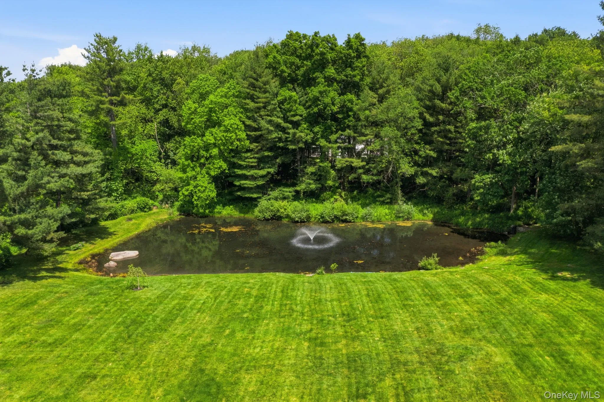 41 Pheasant Road, Pound Ridge, NY, 4 Bedrooms Bedrooms, 10 Rooms Rooms,2 BathroomsBathrooms,Residential,For Rent,Pheasant,0,1003687 41 Pheasant Road, Pound Ridge, NY, 4 Bedrooms Bedrooms, 10 Rooms Rooms,2 BathroomsBathrooms,Residential,For Rent,Pheasant,0,1003687