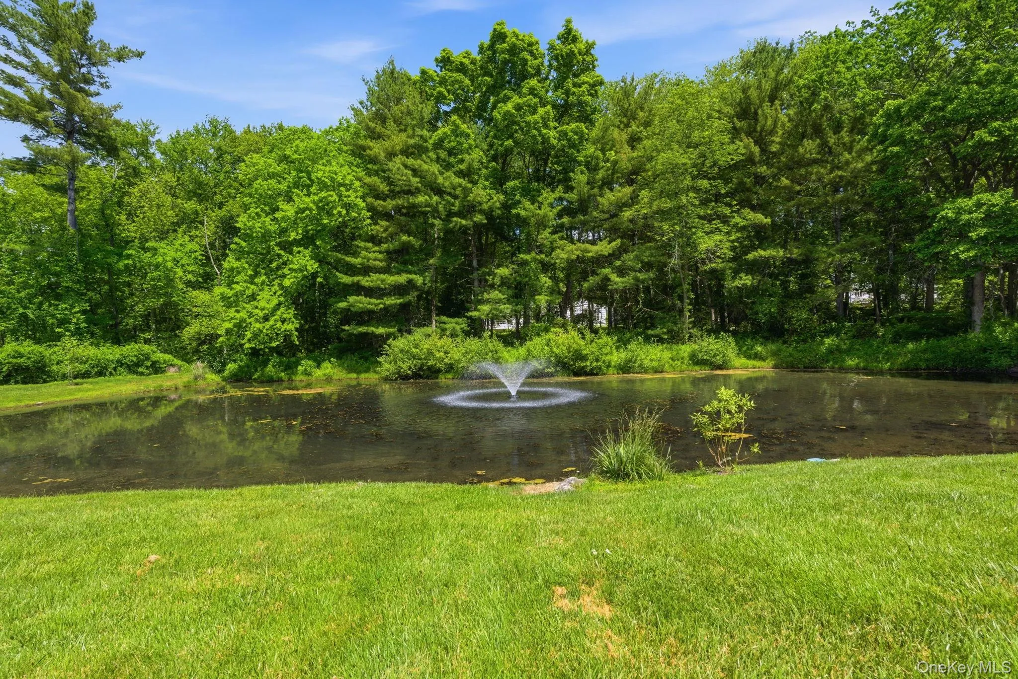 41 Pheasant Road, Pound Ridge, NY, 4 Bedrooms Bedrooms, 10 Rooms Rooms,2 BathroomsBathrooms,Residential,For Rent,Pheasant,0,1003687 41 Pheasant Road, Pound Ridge, NY, 4 Bedrooms Bedrooms, 10 Rooms Rooms,2 BathroomsBathrooms,Residential,For Rent,Pheasant,0,1003687