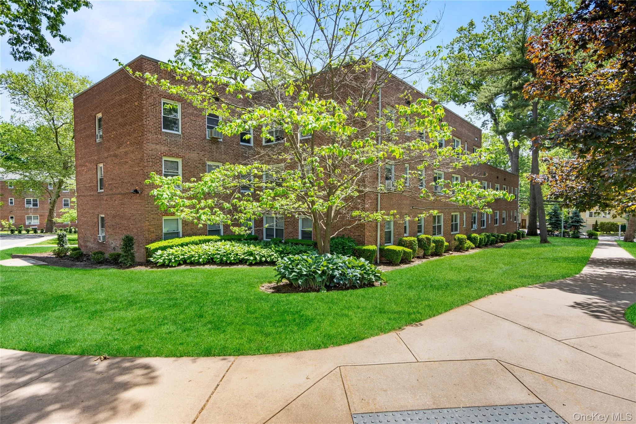 1 Edwards Street, North Hempstead, NY, 1 Bedroom Bedrooms, 4 Rooms Rooms,1 BathroomBathrooms,Residential,For Rent,Edwards,0,1003693 1 Edwards Street, North Hempstead, NY, 1 Bedroom Bedrooms, 4 Rooms Rooms,1 BathroomBathrooms,Residential,For Rent,Edwards,0,1003693