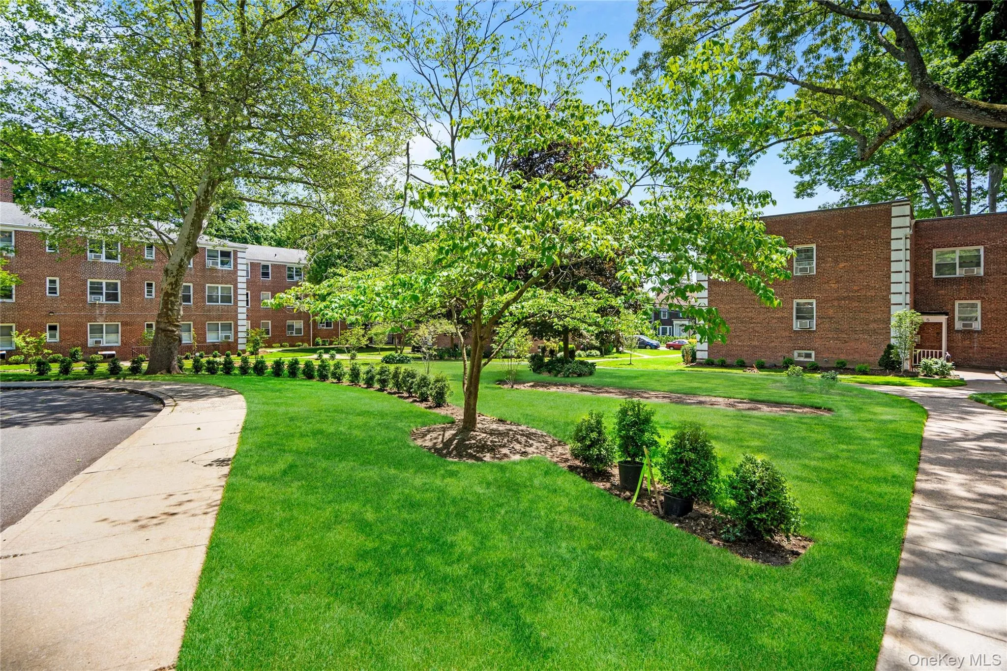 1 Edwards Street, North Hempstead, NY, 1 Bedroom Bedrooms, 4 Rooms Rooms,1 BathroomBathrooms,Residential,For Rent,Edwards,0,1003693 1 Edwards Street, North Hempstead, NY, 1 Bedroom Bedrooms, 4 Rooms Rooms,1 BathroomBathrooms,Residential,For Rent,Edwards,0,1003693