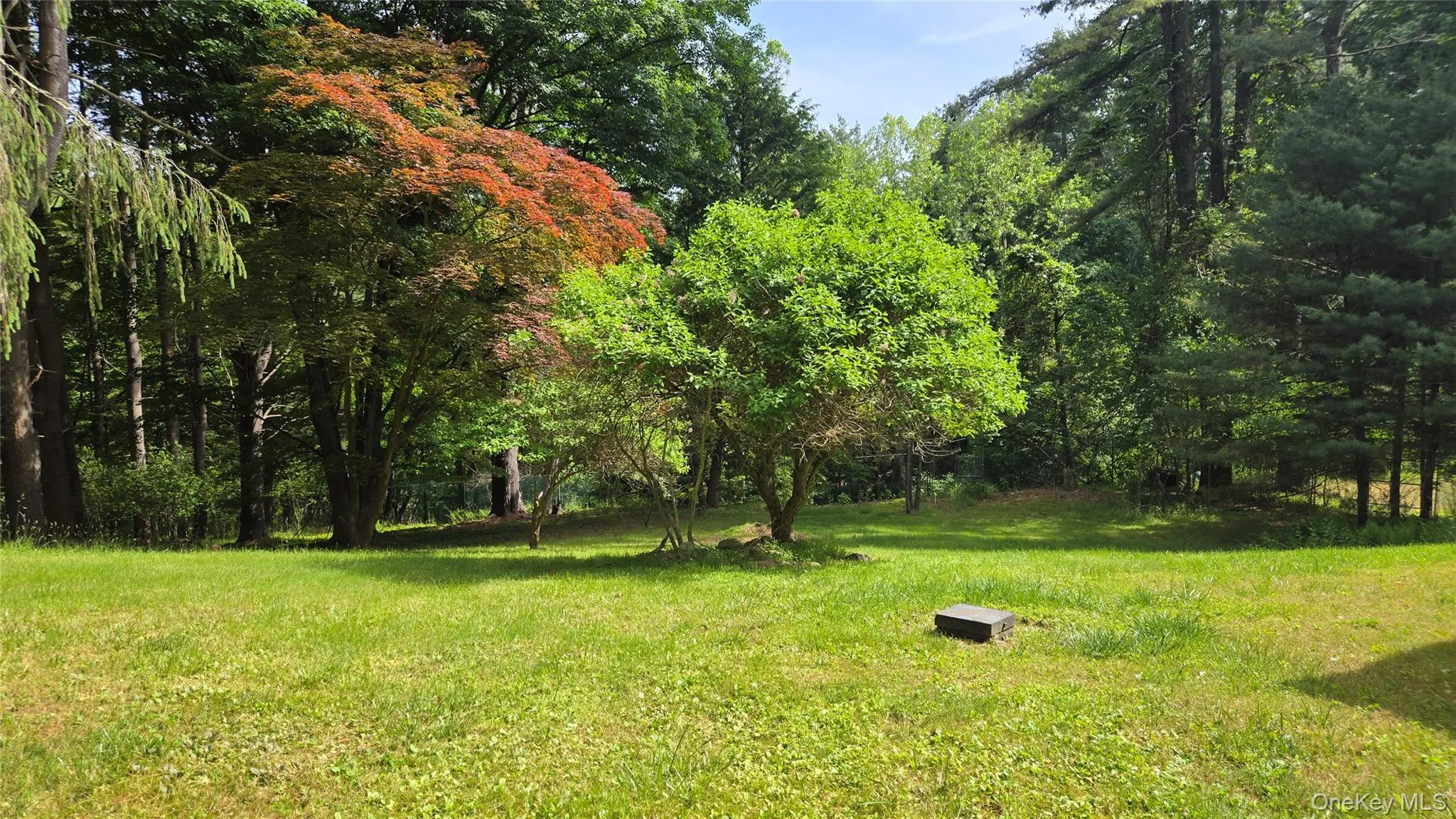 24 Andrew Paye Road, Lumberland, NY, 3 Bedrooms Bedrooms, 8 Rooms Rooms,2 BathroomsBathrooms,Residential Lease,For Rent,Andrew Paye,0,1003718 24 Andrew Paye Road, Lumberland, NY, 3 Bedrooms Bedrooms, 8 Rooms Rooms,2 BathroomsBathrooms,Residential Lease,For Rent,Andrew Paye,0,1003718