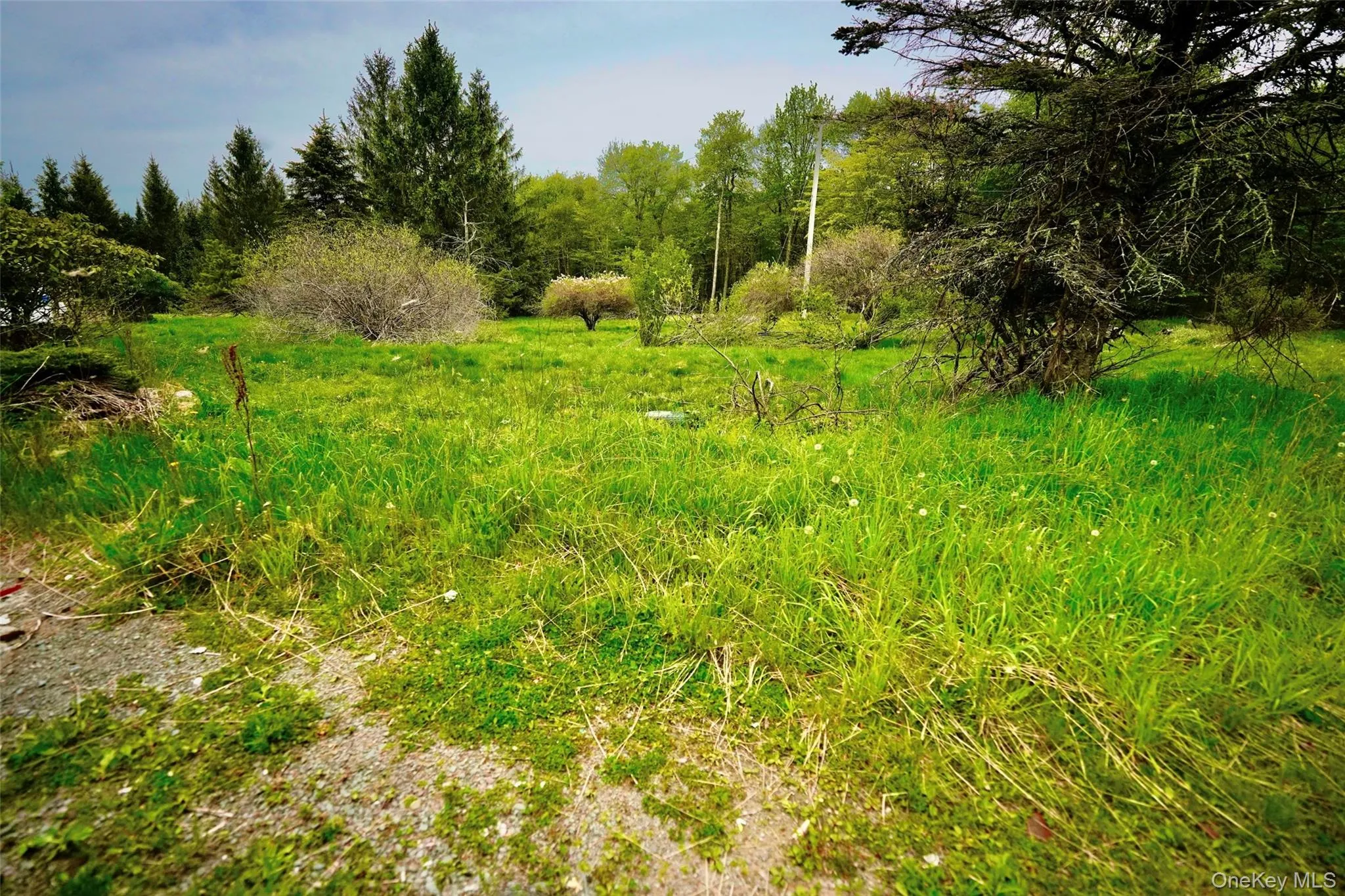 138 Old Hunter Road, Rockland, NY, 2 Bedrooms Bedrooms, 6 Rooms Rooms,2 BathroomsBathrooms,Residential Sale,For Rent,Old Hunter,0,1003751 138 Old Hunter Road, Rockland, NY, 2 Bedrooms Bedrooms, 6 Rooms Rooms,2 BathroomsBathrooms,Residential Sale,For Rent,Old Hunter,0,1003751